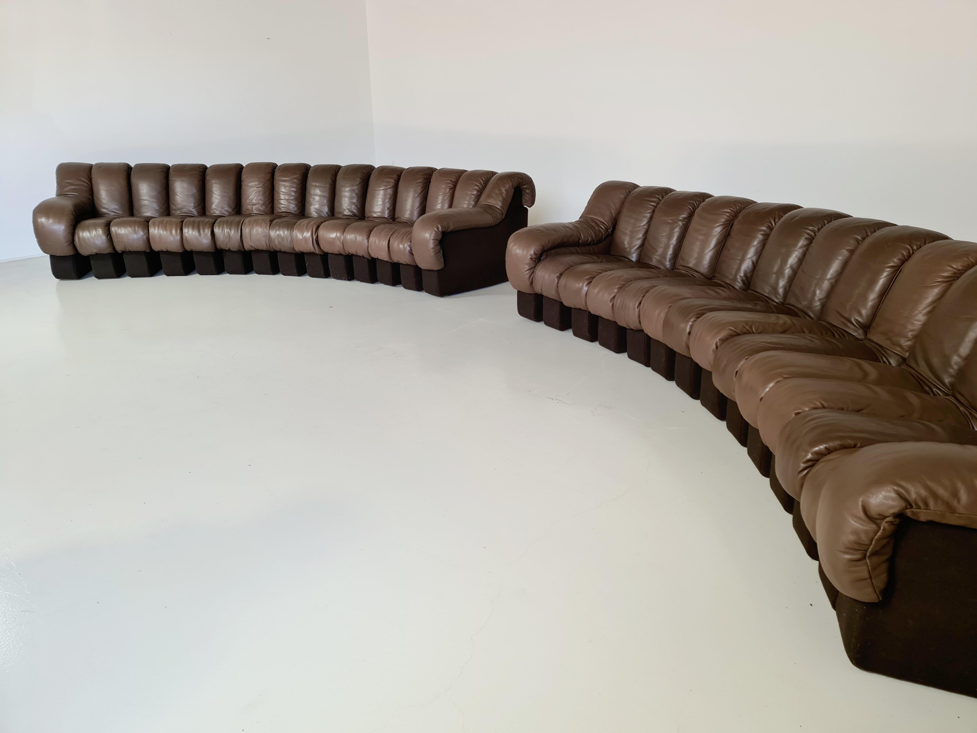 De Sede DS-600 Snake Sofa in Dark Brown Leather, 1970s In Good Condition In amstelveen, NL