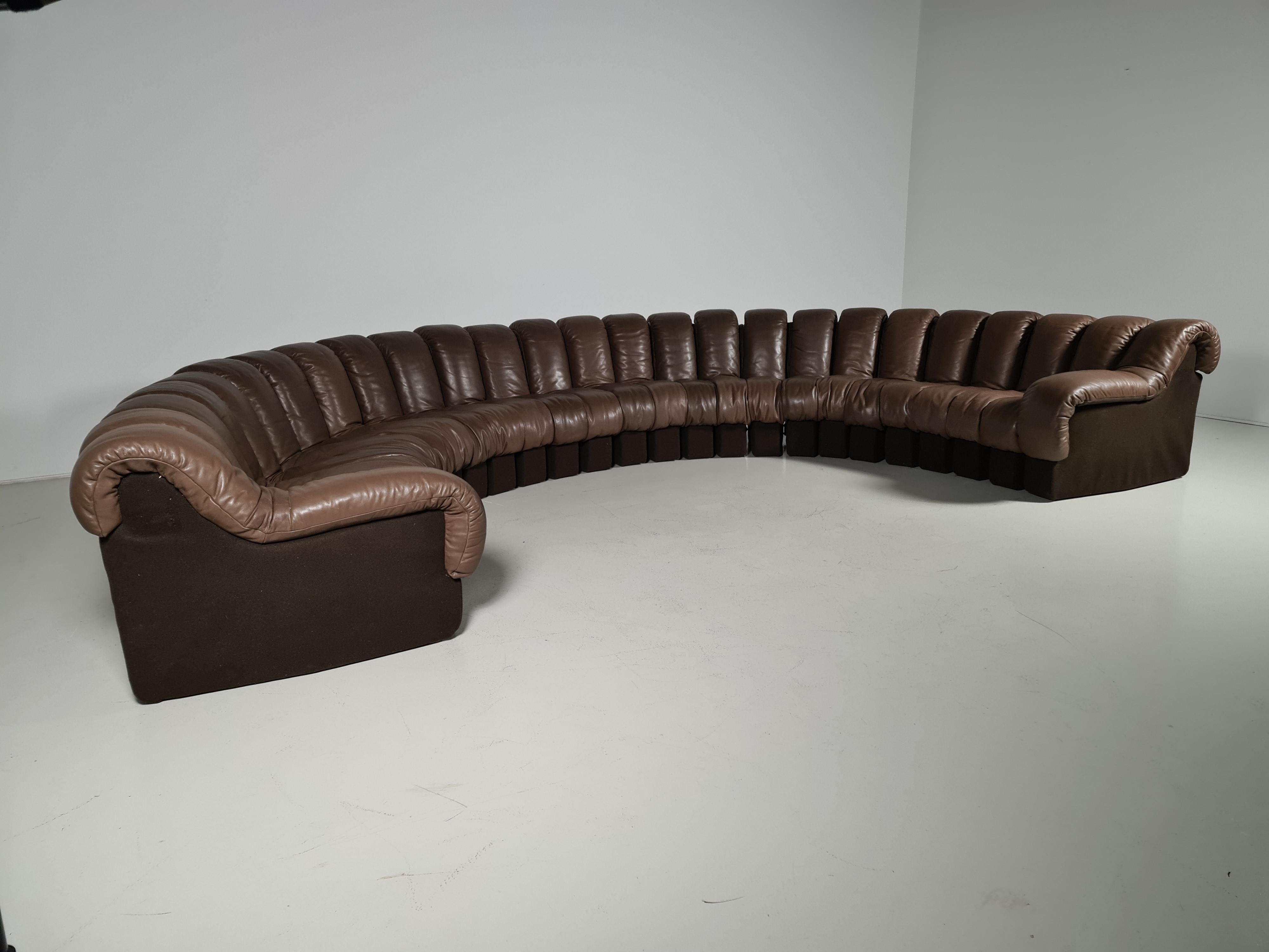 Late 20th Century De Sede DS-600 Snake Sofa in Dark Brown Leather, 1970s
