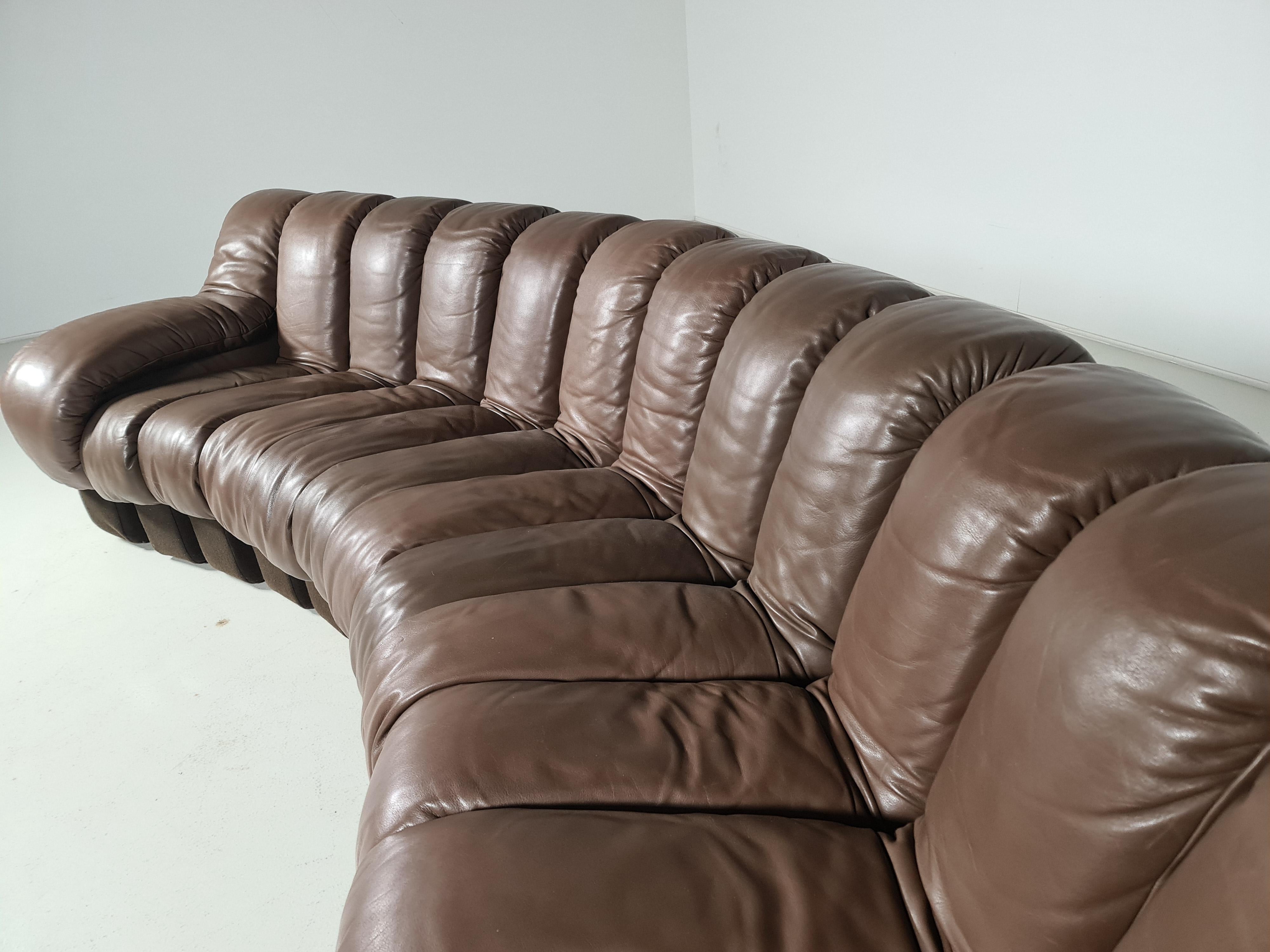 De Sede DS-600 Snake Sofa in Dark Brown Leather, 1970s 1