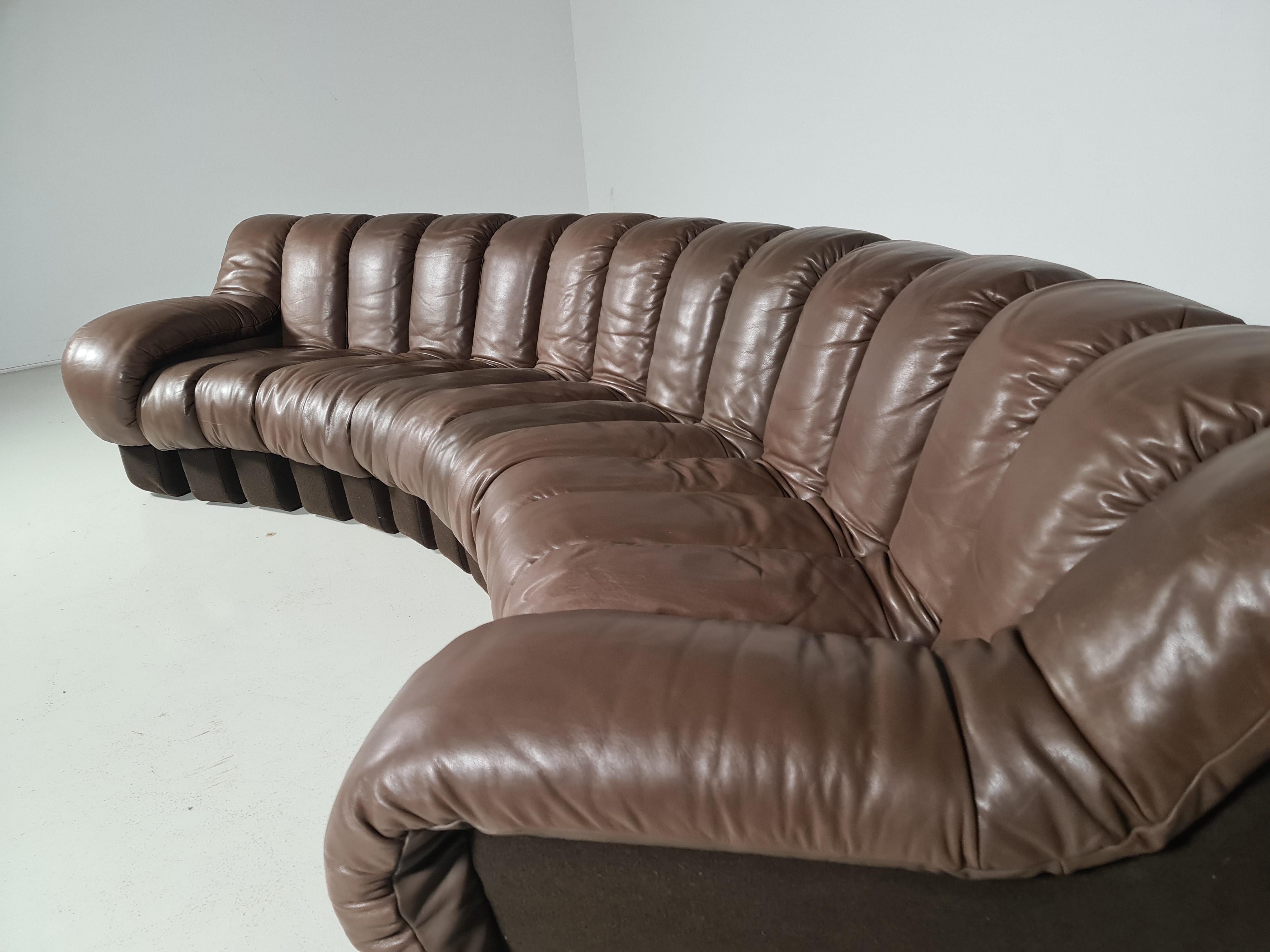 De Sede DS-600 Snake Sofa in Dark Brown Leather, 1970s 2