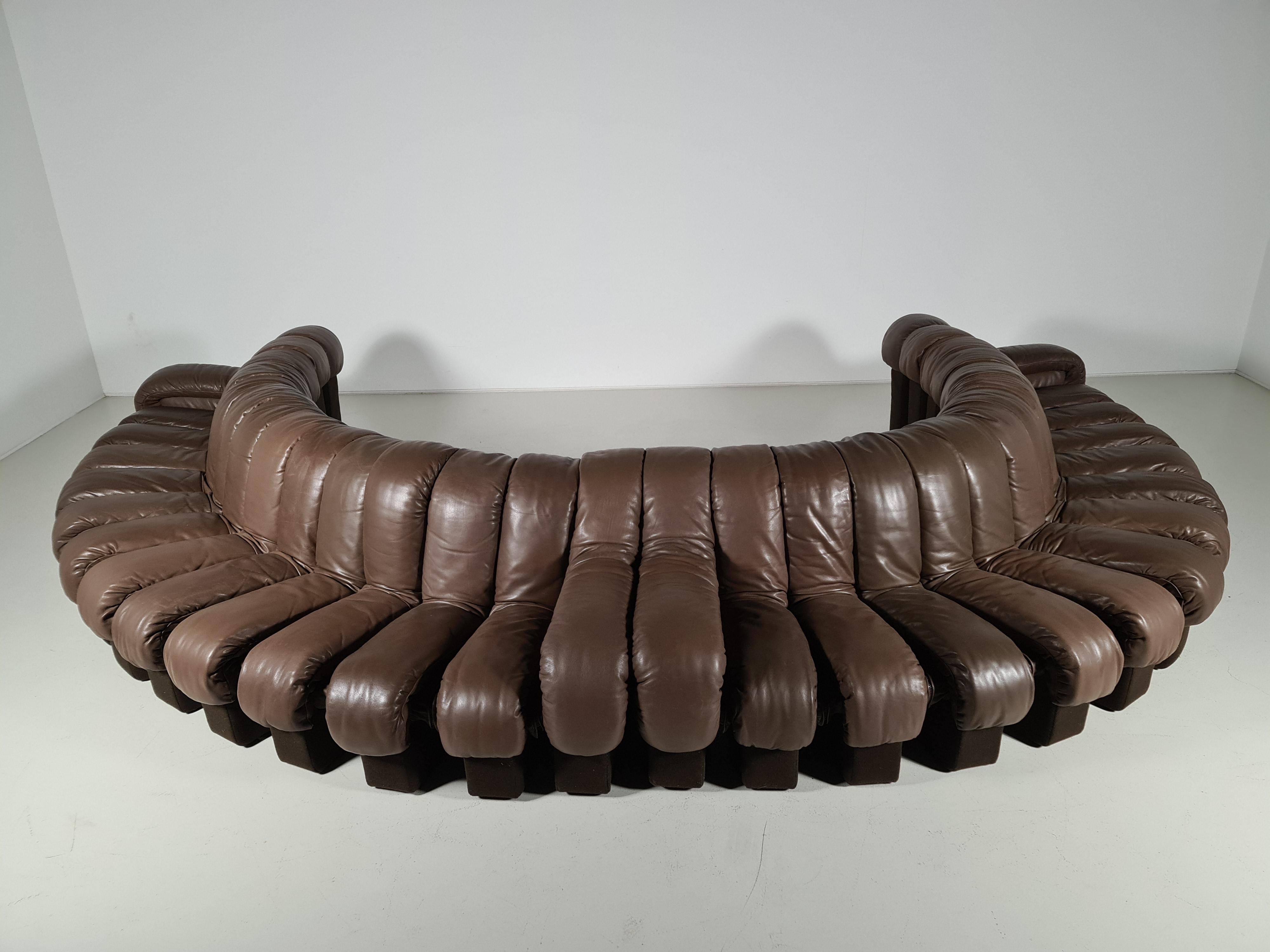 De Sede DS-600 Snake Sofa in Dark Brown Leather, 1970s 3