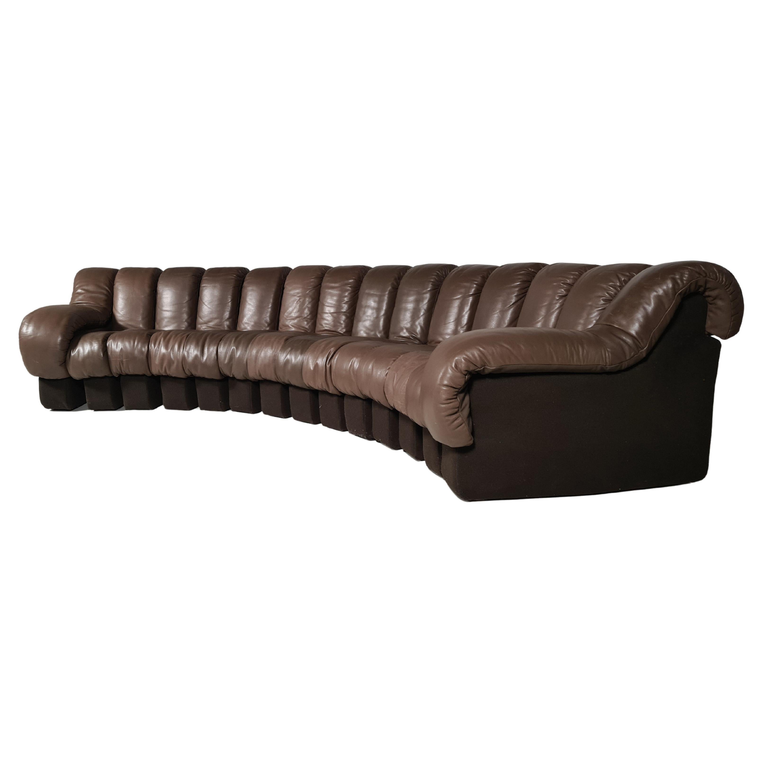 De Sede DS-600 Snake Sofa in Dark Brown Leather, 1970s