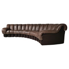 Vintage De Sede DS-600 Snake Sofa in Dark Brown Leather, 1970s