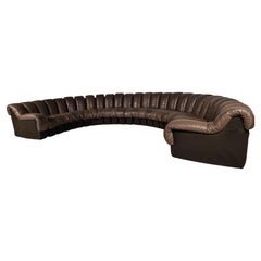 De Sede DS-600 Snake Sofa in Dark Brown Leather, 1970s