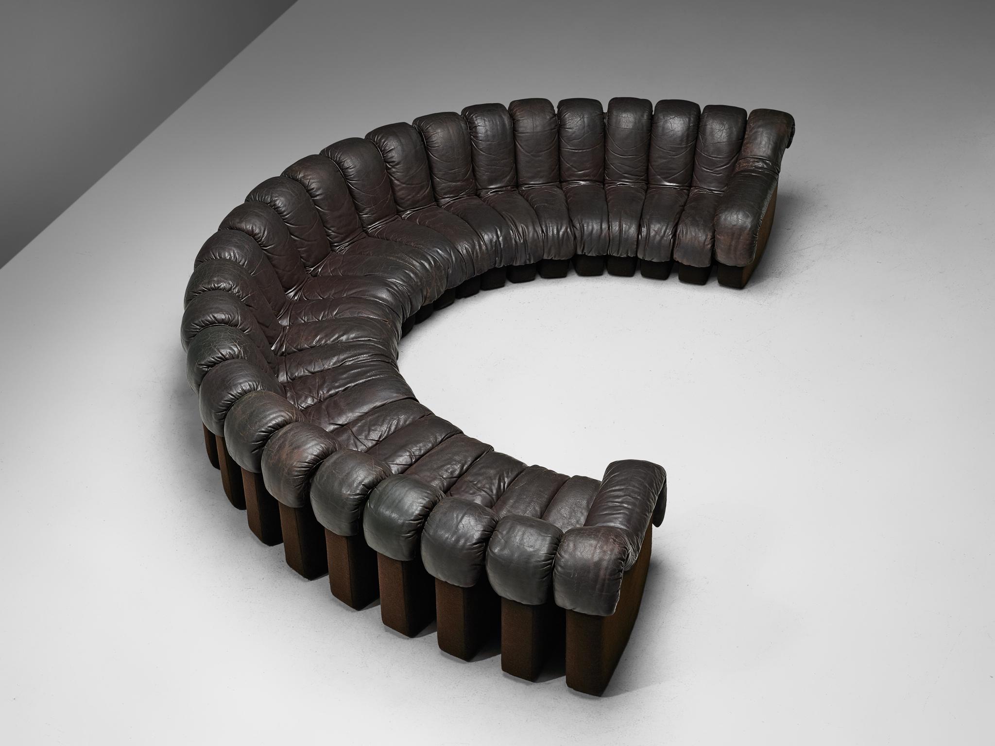 De Sede DS-600 'Snake’ Sofa in Dark Brown Leather  2