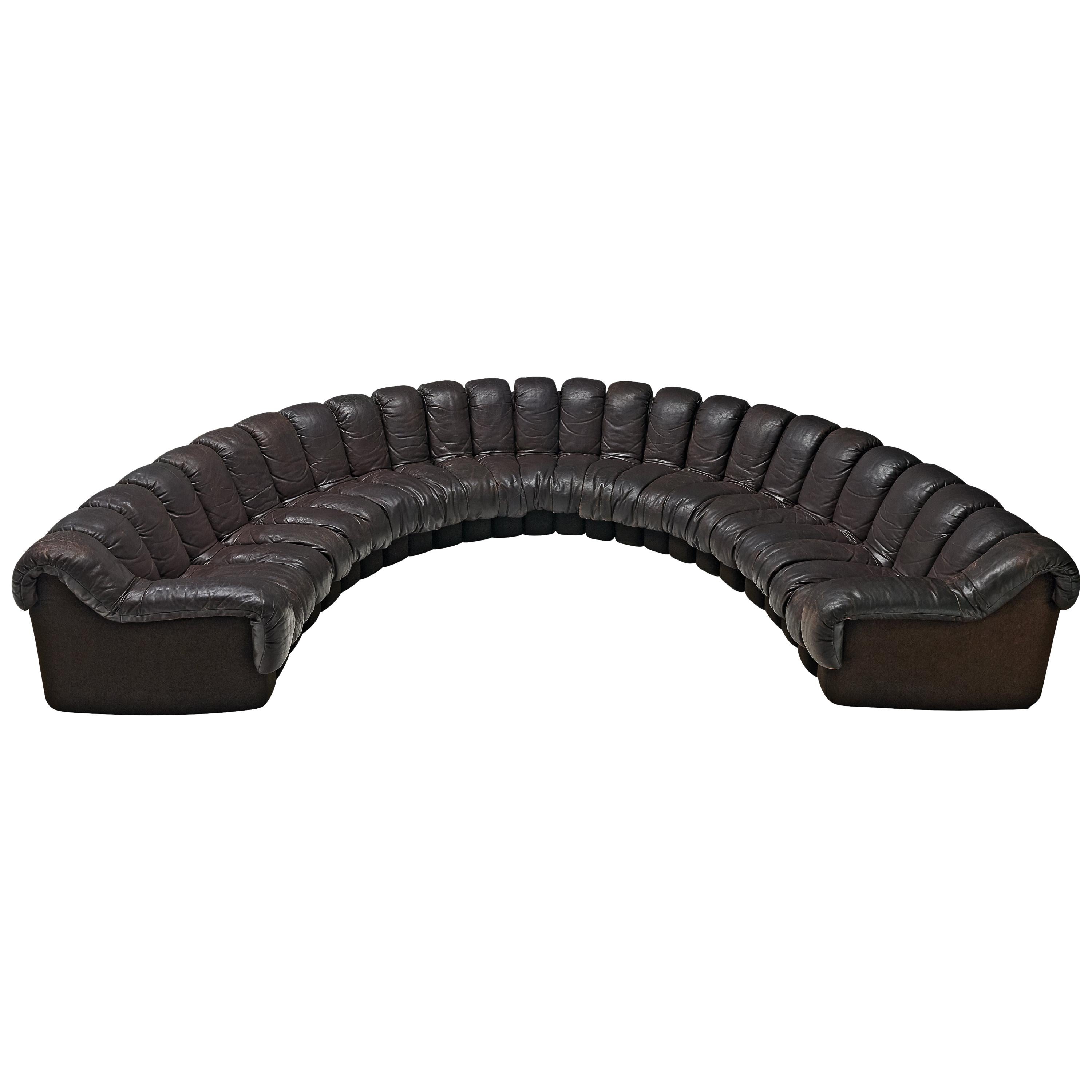 De Sede DS-600 ‘Snake’ Sofa in Dark Brown Leather