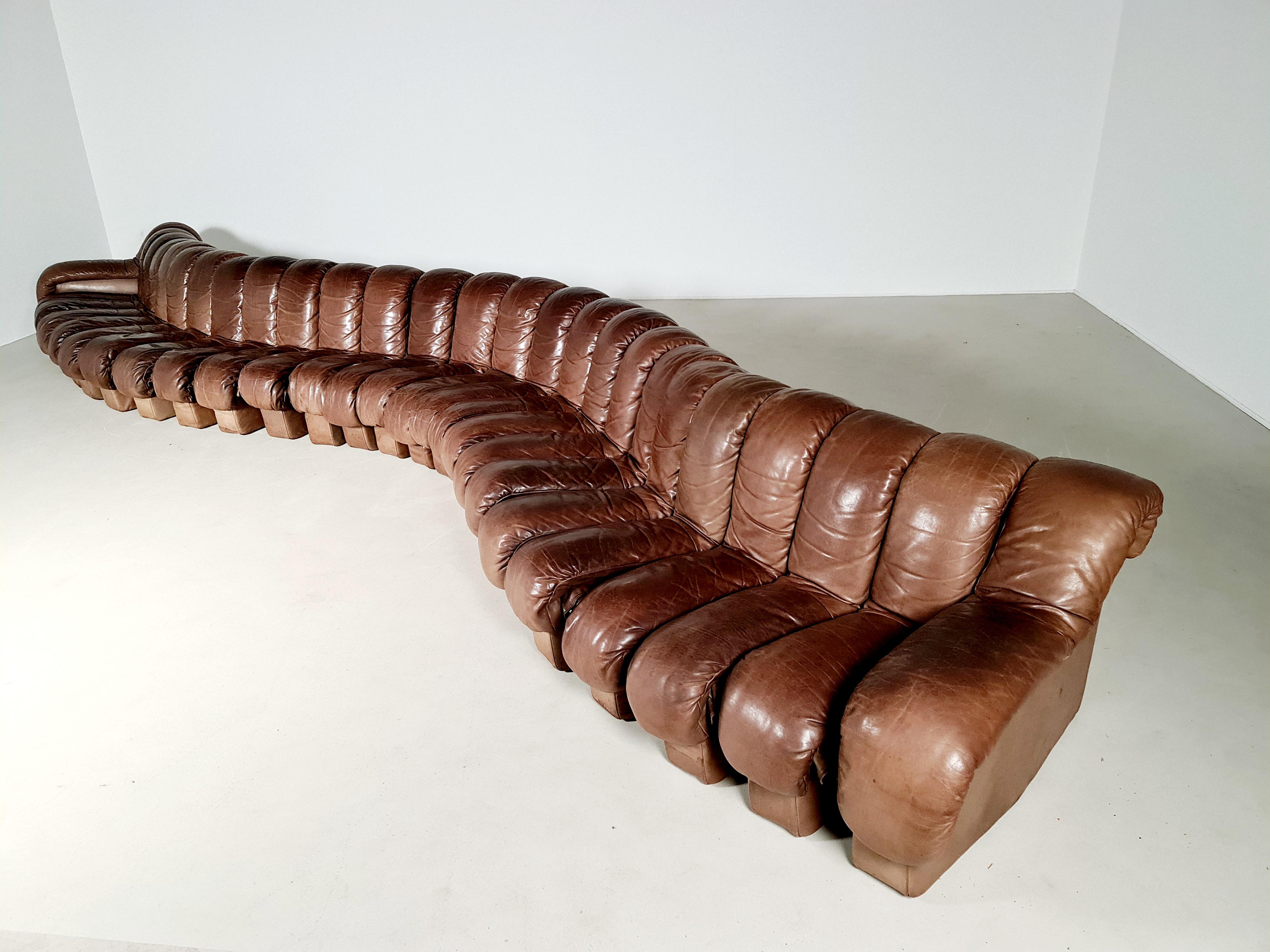 De Sede DS-600 'Snake' Sofa in Full Leather, 1970s 4