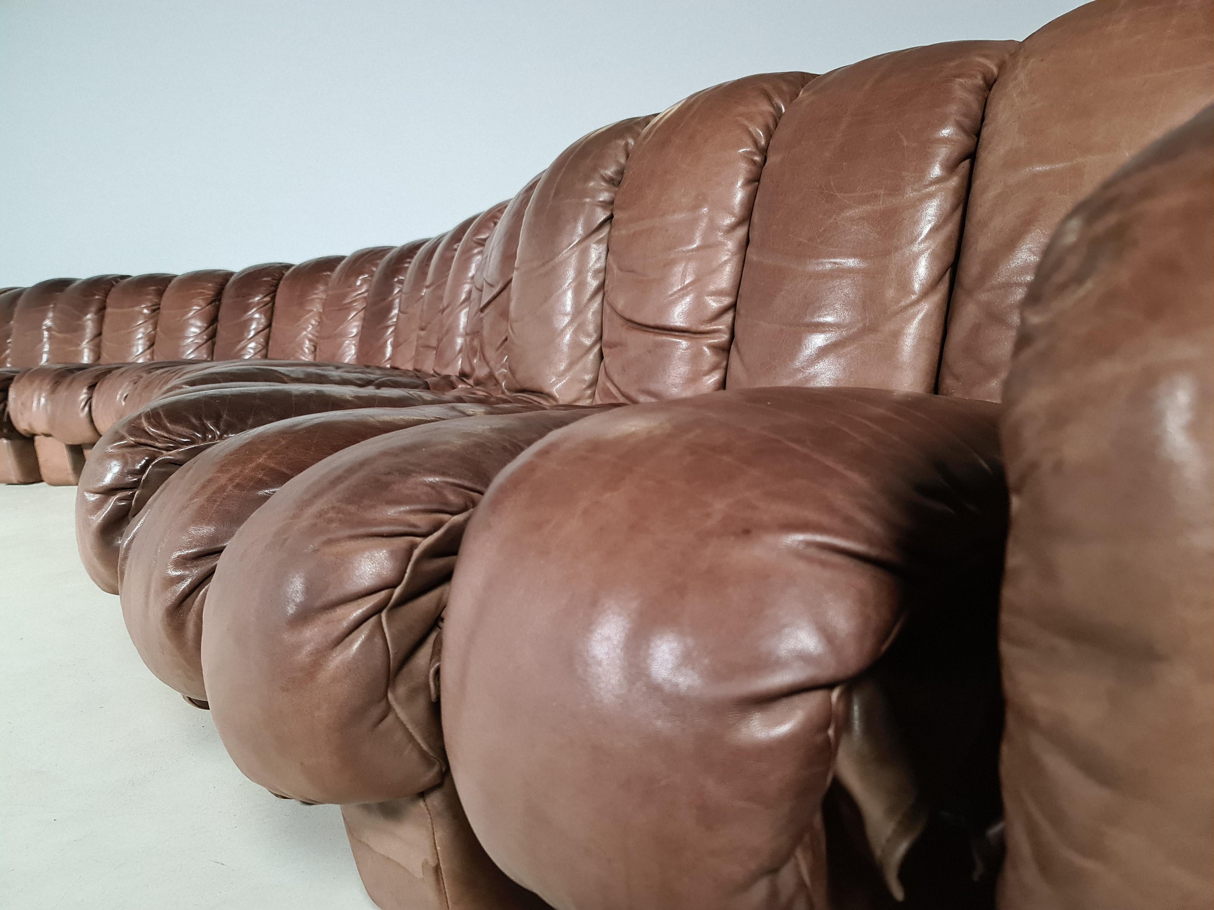 De Sede DS-600 'Snake' Sofa in Full Leather, 1970s 5