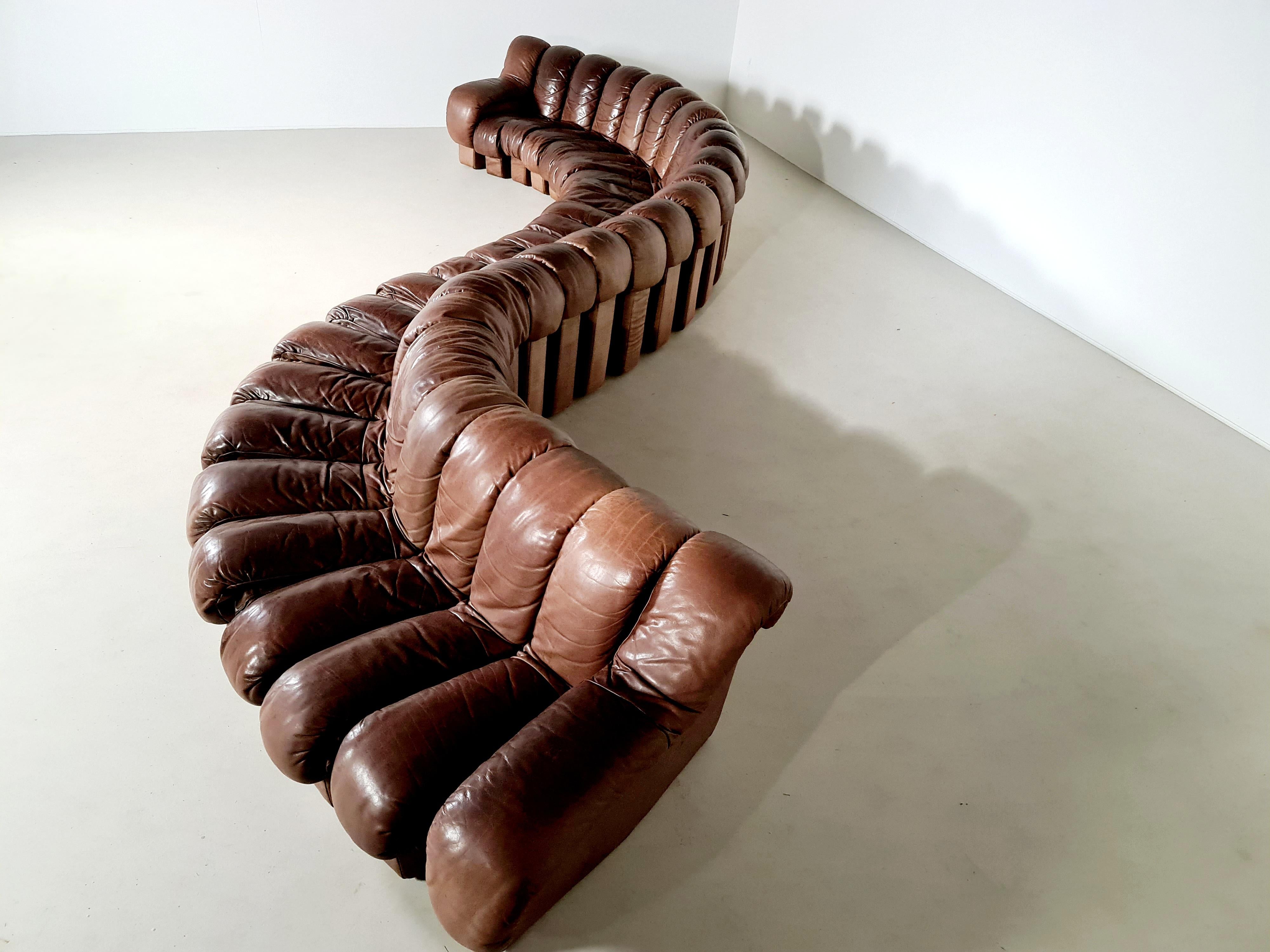 De Sede DS-600 'Snake' Sofa in Full Leather, 1970s 7