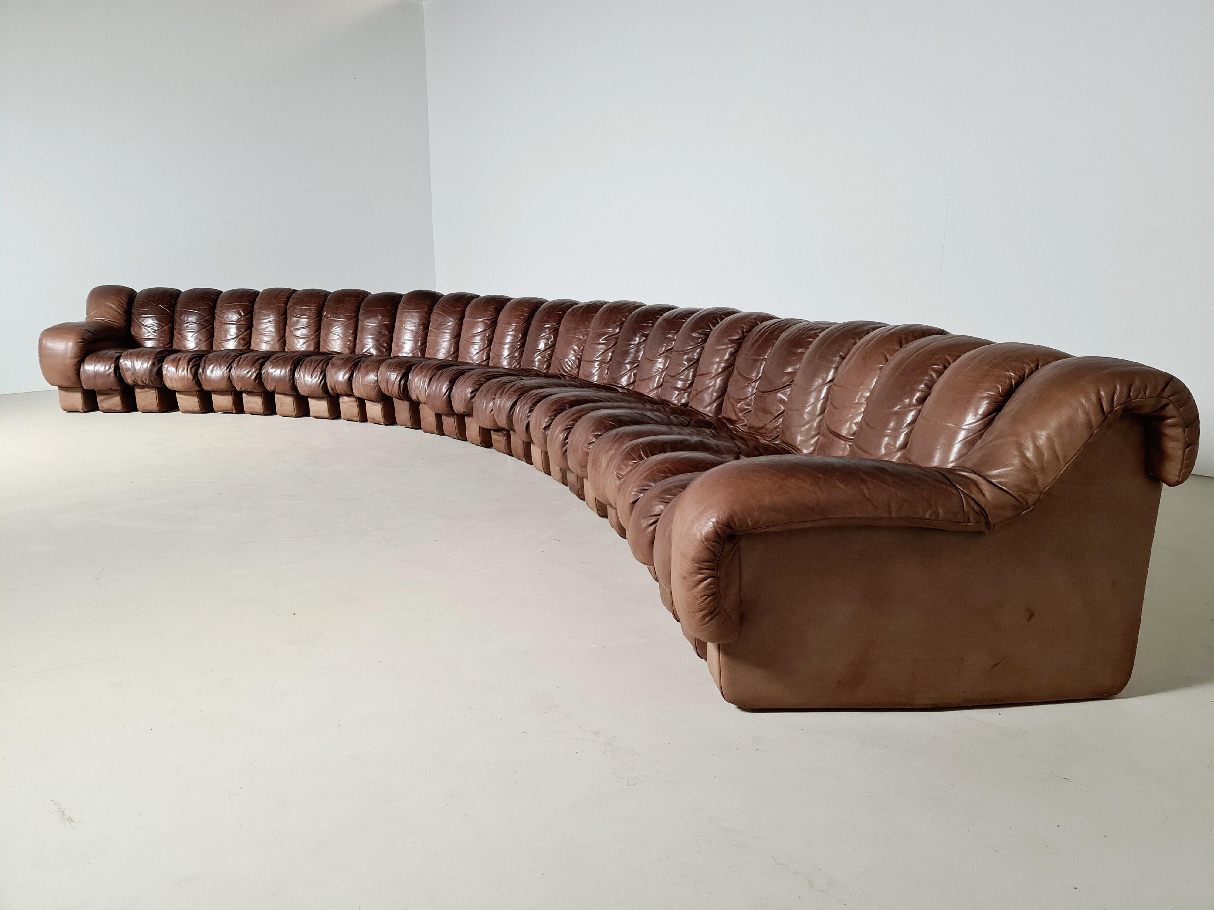 Mid-Century Modern De Sede DS-600 'Snake' Sofa in Full Leather, 1970s