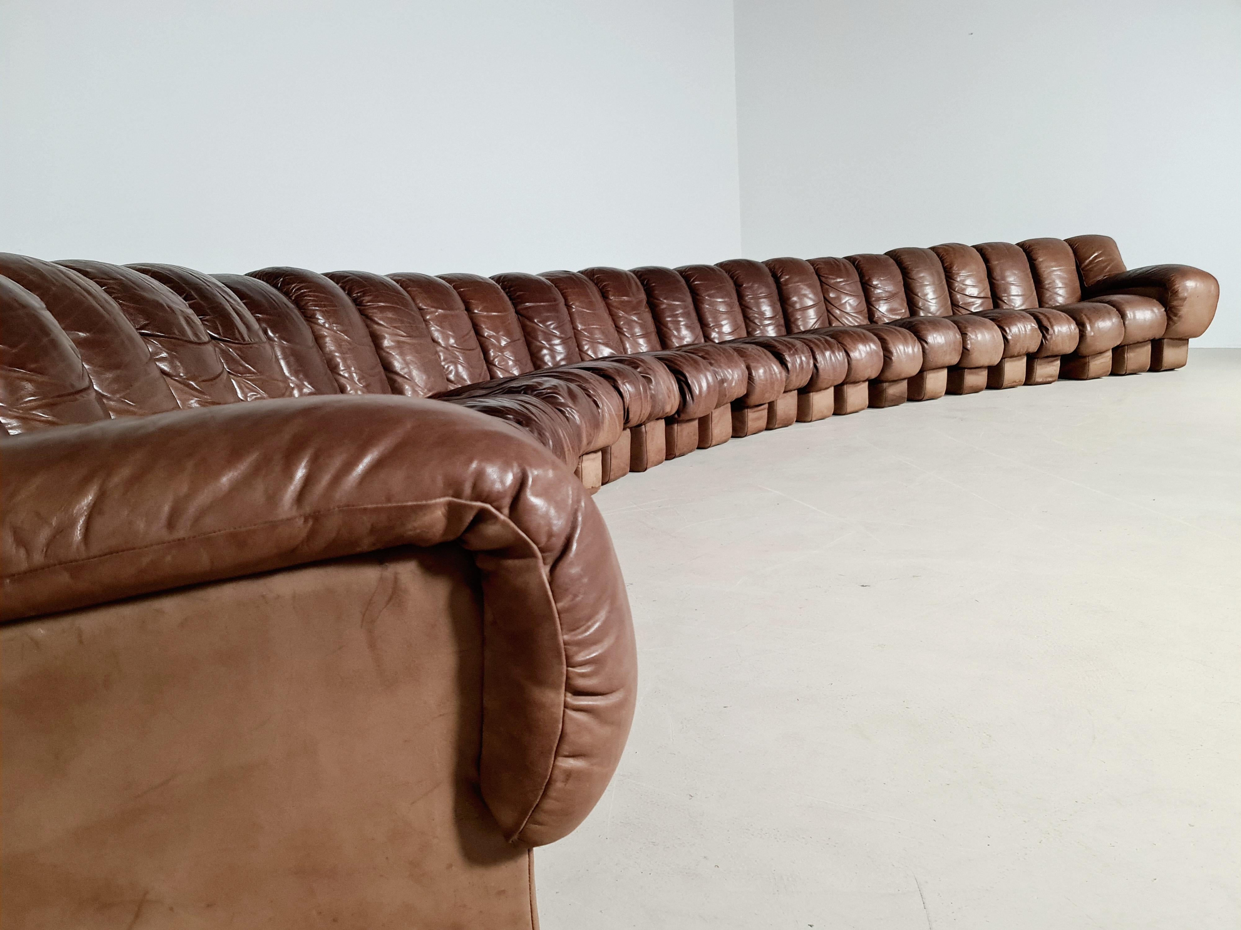 Swiss De Sede DS-600 'Snake' Sofa in Full Leather, 1970s