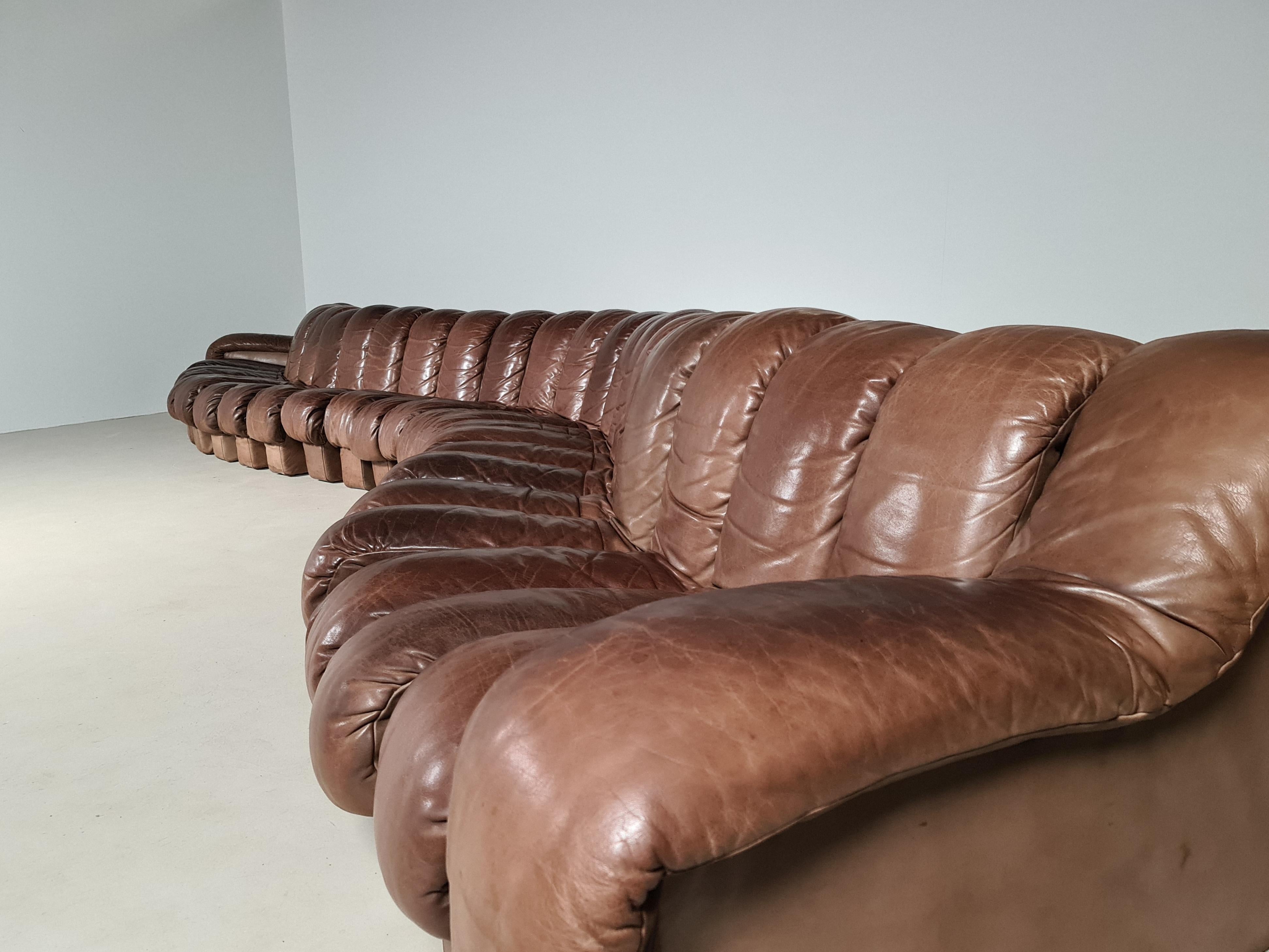 De Sede DS-600 'Snake' Sofa in Full Leather, 1970s 1