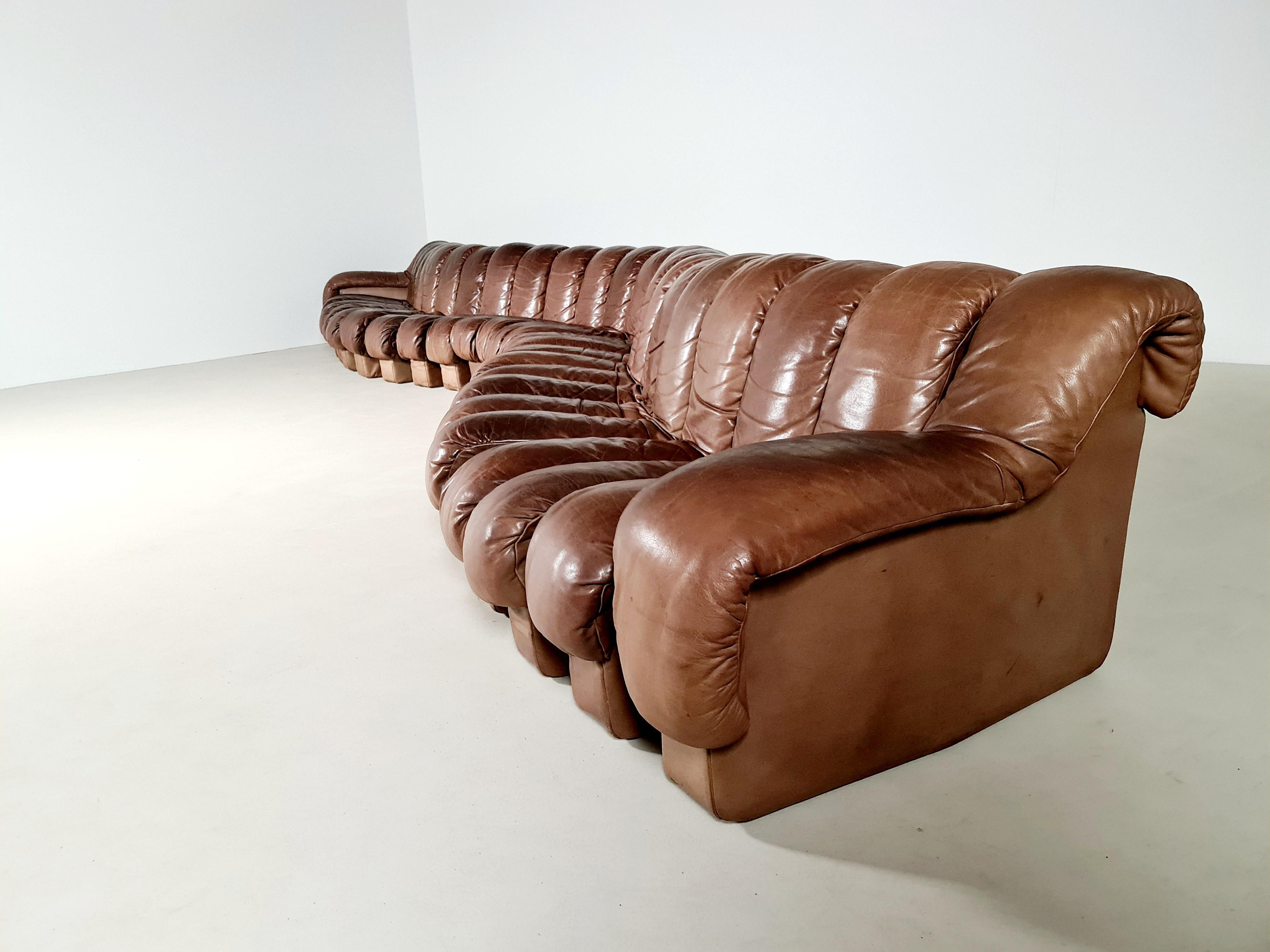 De Sede DS-600 'Snake' Sofa in Full Leather, 1970s 2