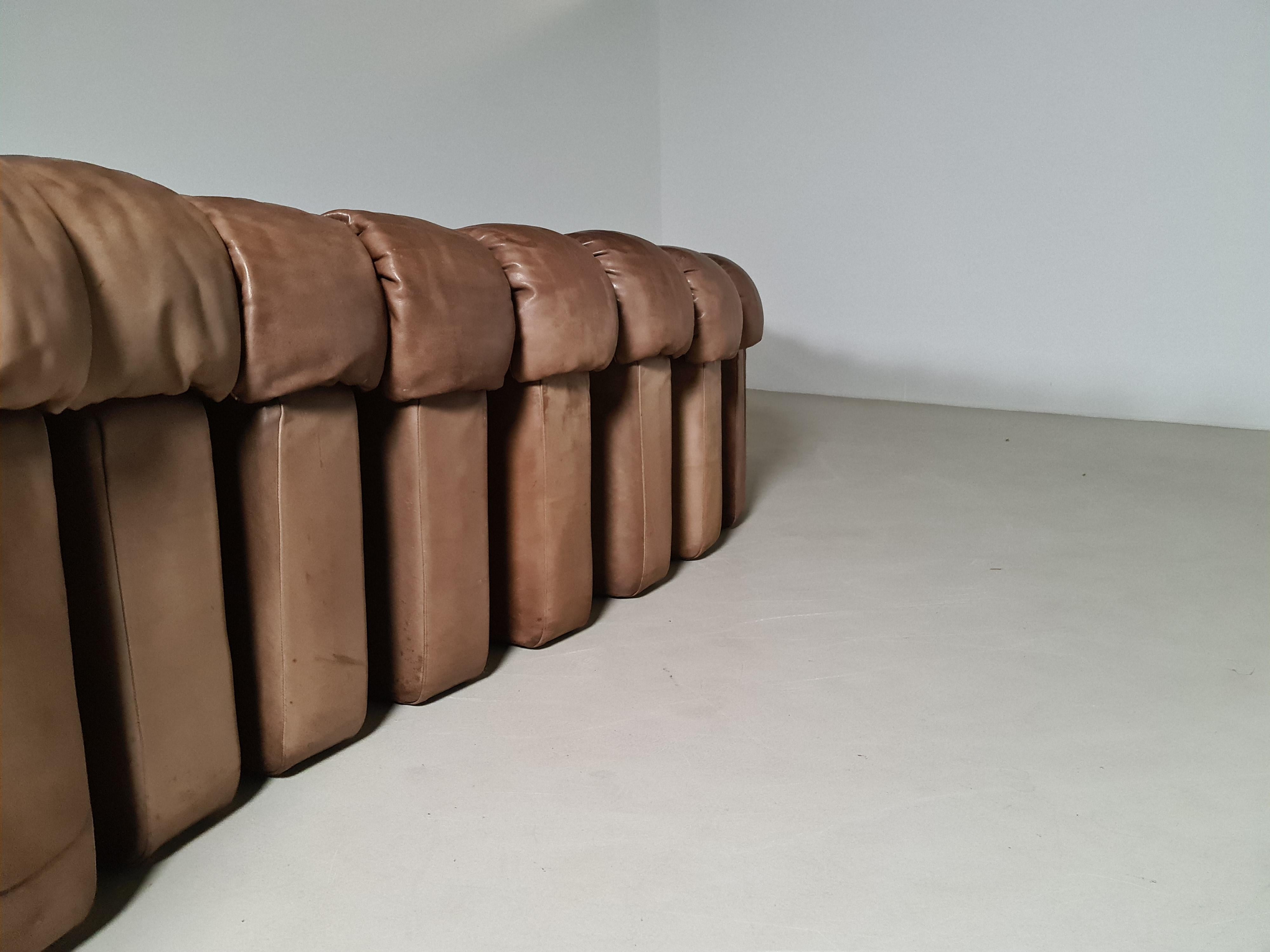 De Sede DS-600 'Snake' Sofa in Full Leather, 1970s 3