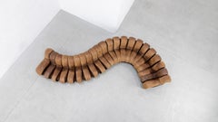 De Sede DS 600 Sofa 1972 by Ueli Berger in cognac Leather - 22 Elements Nonstop