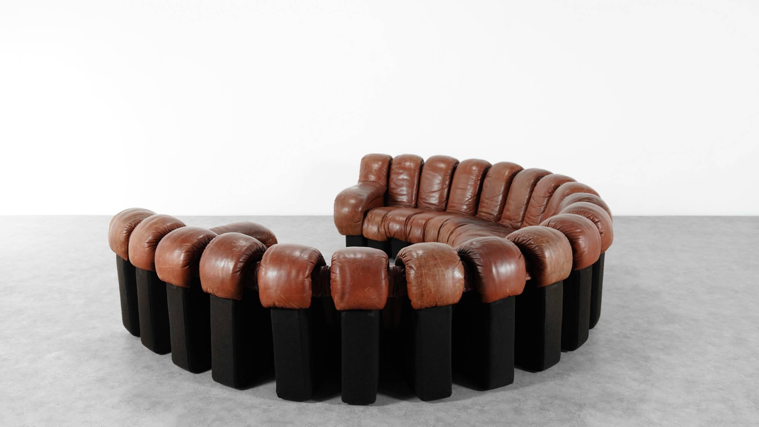 De Sede Ds 600 Sofa by Ueli Berger and Riva 1972, Chocolate Leather 20 Elements 5