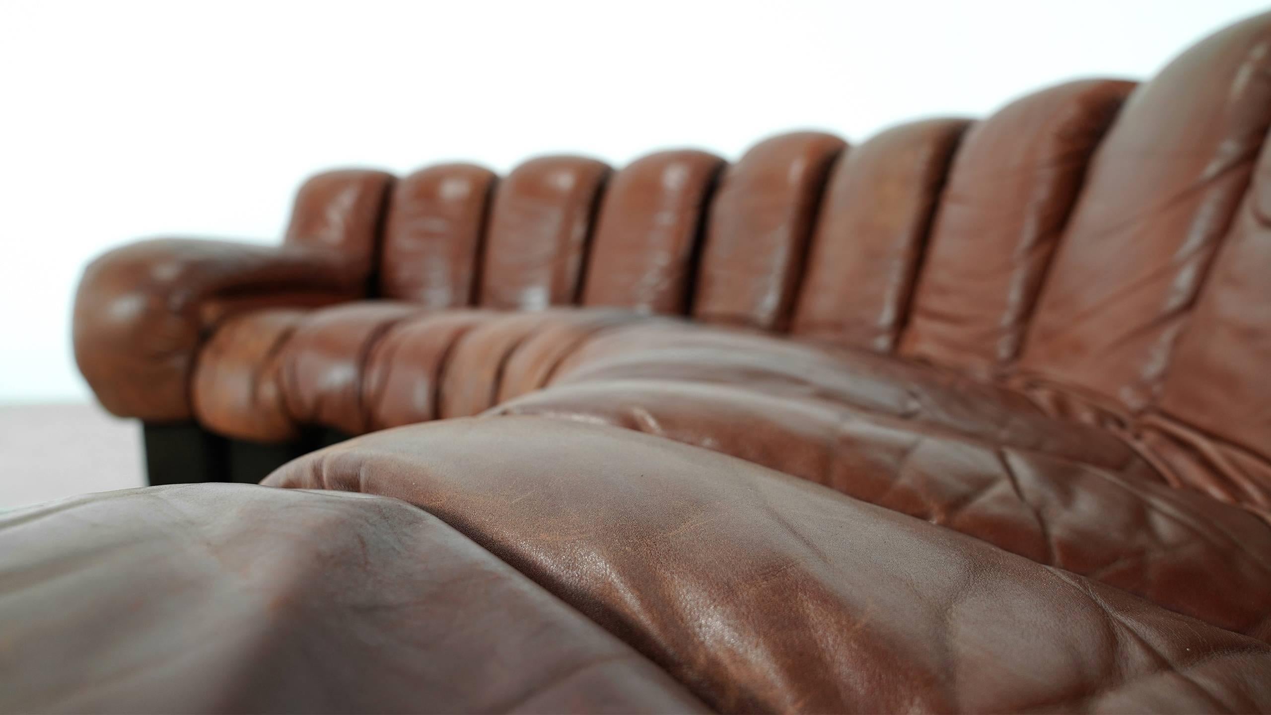 De Sede Ds 600 Sofa by Ueli Berger and Riva 1972, Chocolate Leather 20 Elements 6