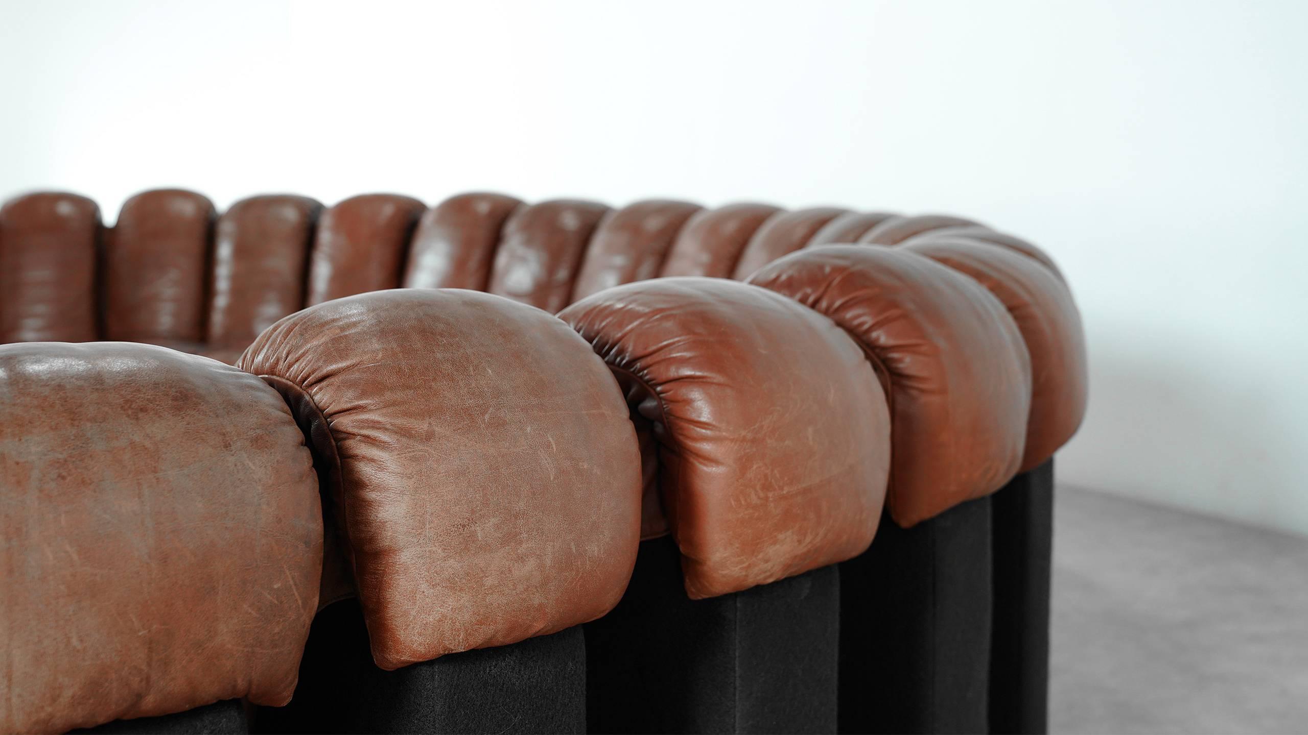 De Sede Ds 600 Sofa by Ueli Berger and Riva 1972, Chocolate Leather 20 Elements 8