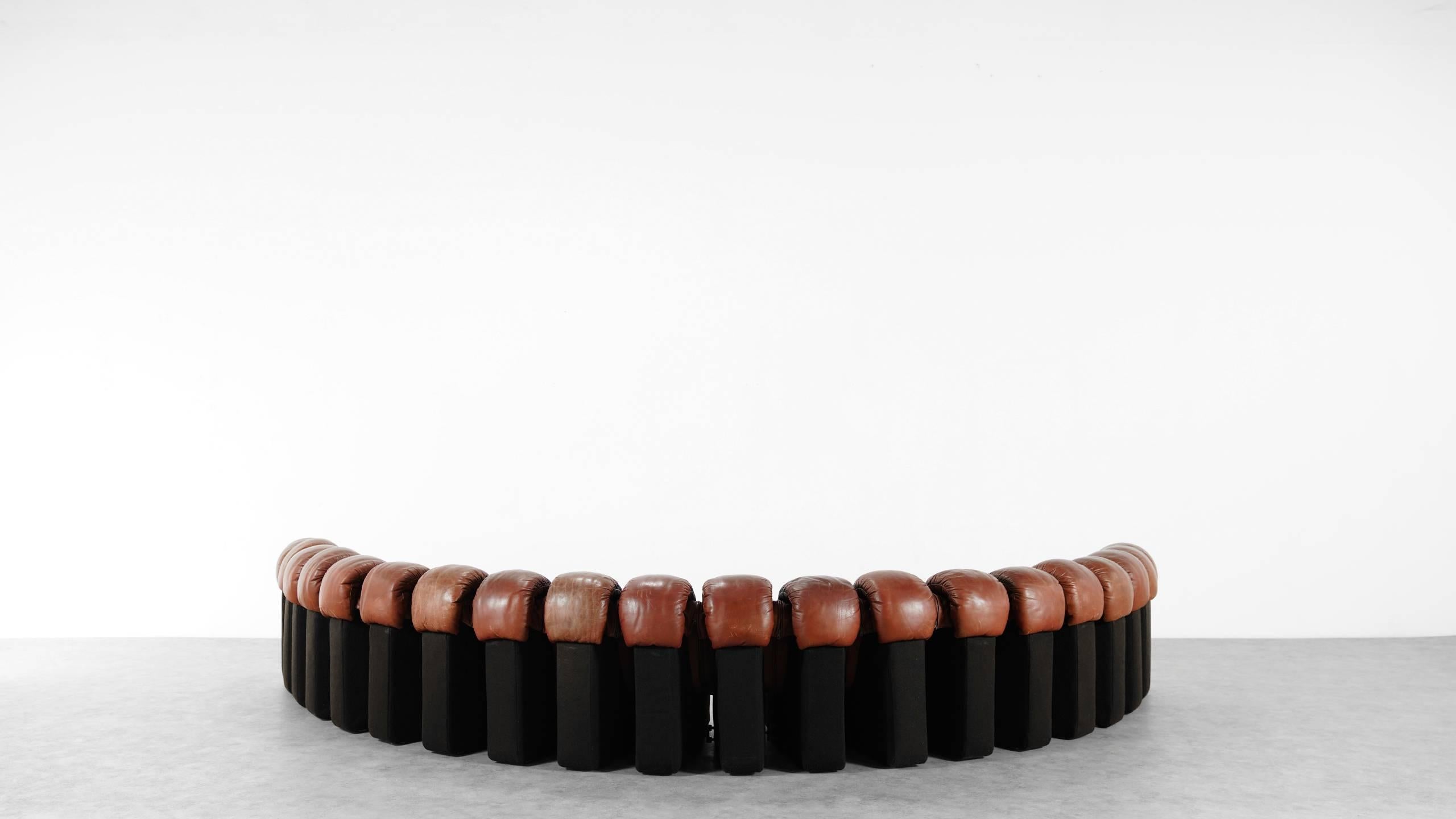 De Sede Ds 600 Sofa by Ueli Berger and Riva 1972, Chocolate Leather 20 Elements 9