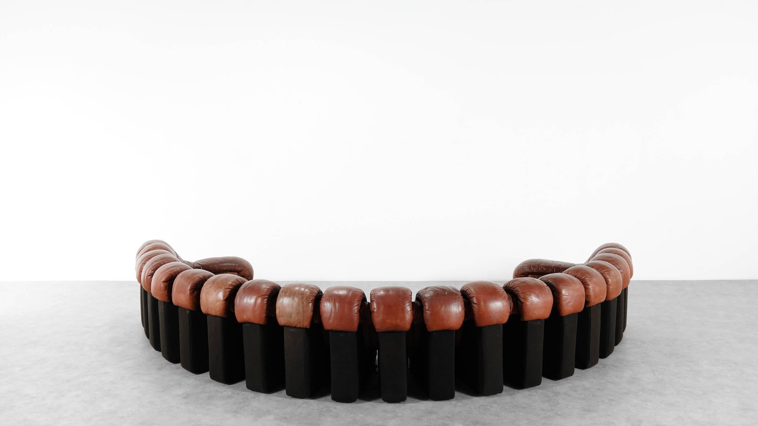 De Sede Ds 600 Sofa by Ueli Berger and Riva 1972, Chocolate Leather 20 Elements 3
