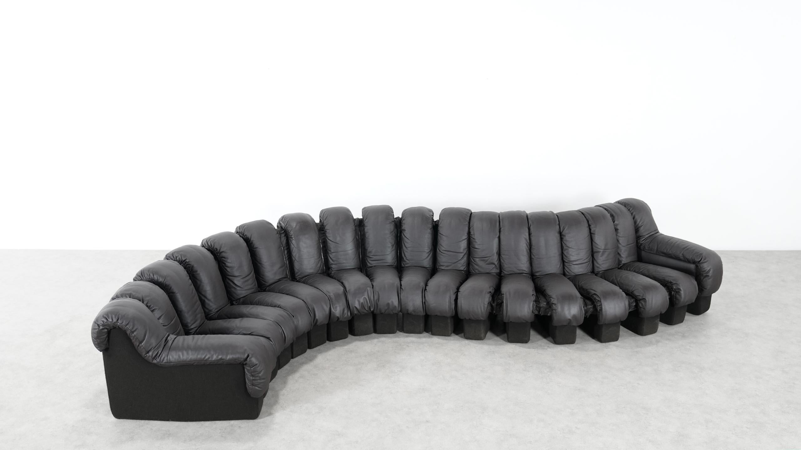 De Sede DS 600 Sofa by Ueli Berger / Riva 1972, Brown Black Leather 18 Elements 4