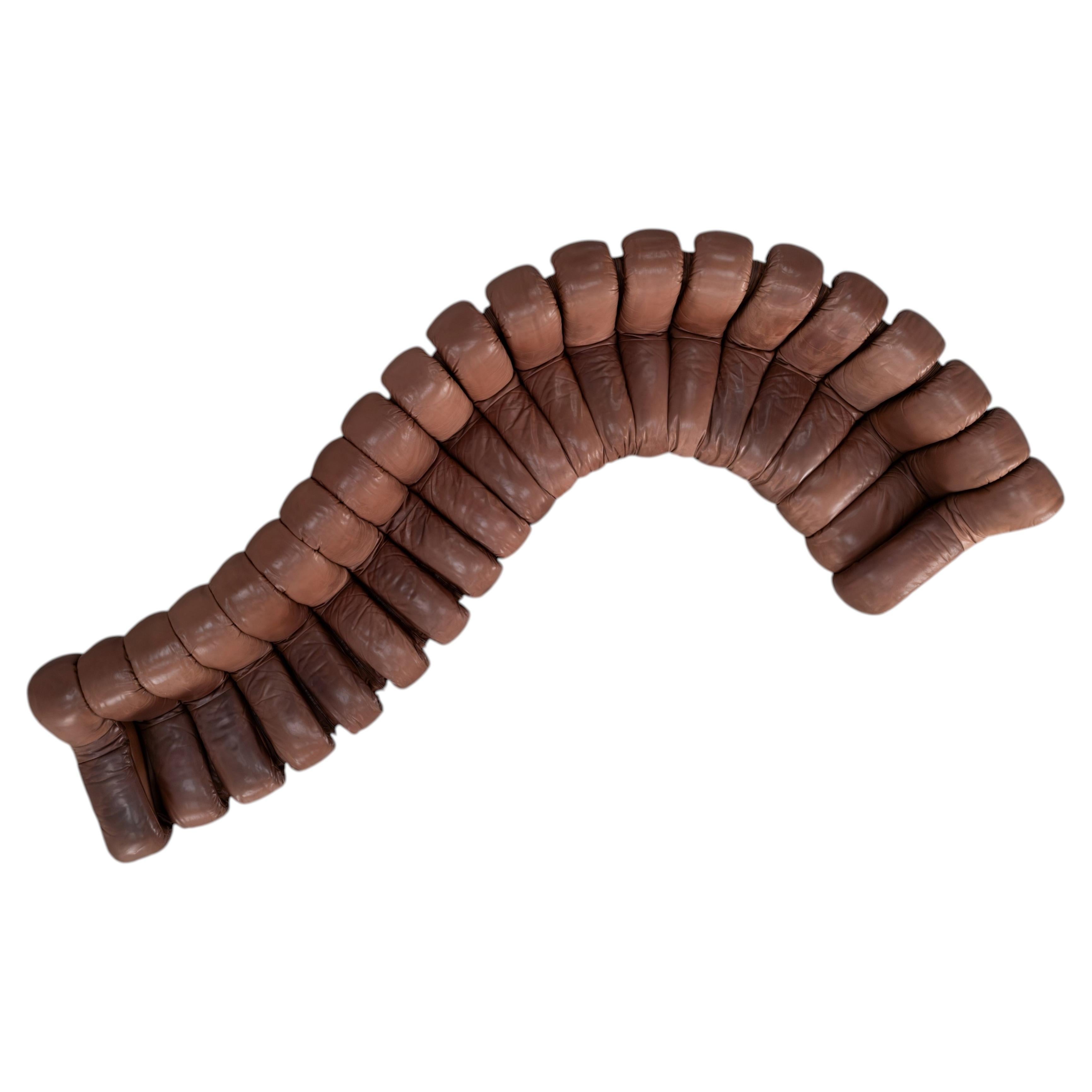 De Sede DS 600 Sofa Snake by Ueli Berger chocolate Leather - 21 Elements For Sale