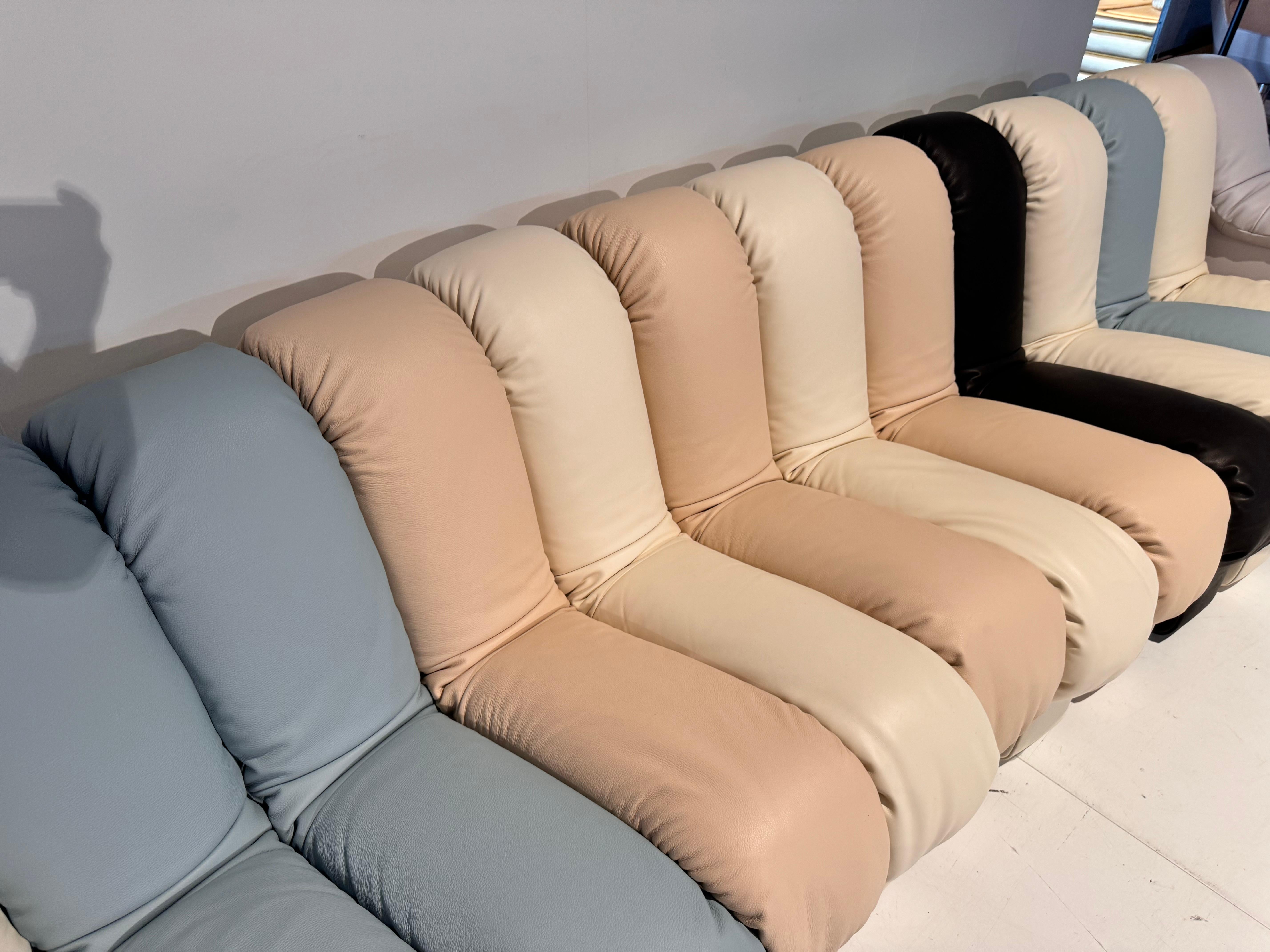 De Sede DS 600 Tatzelwurm Nonstop Snake Shaped Modular Sofa leather Ueli Berger For Sale 3