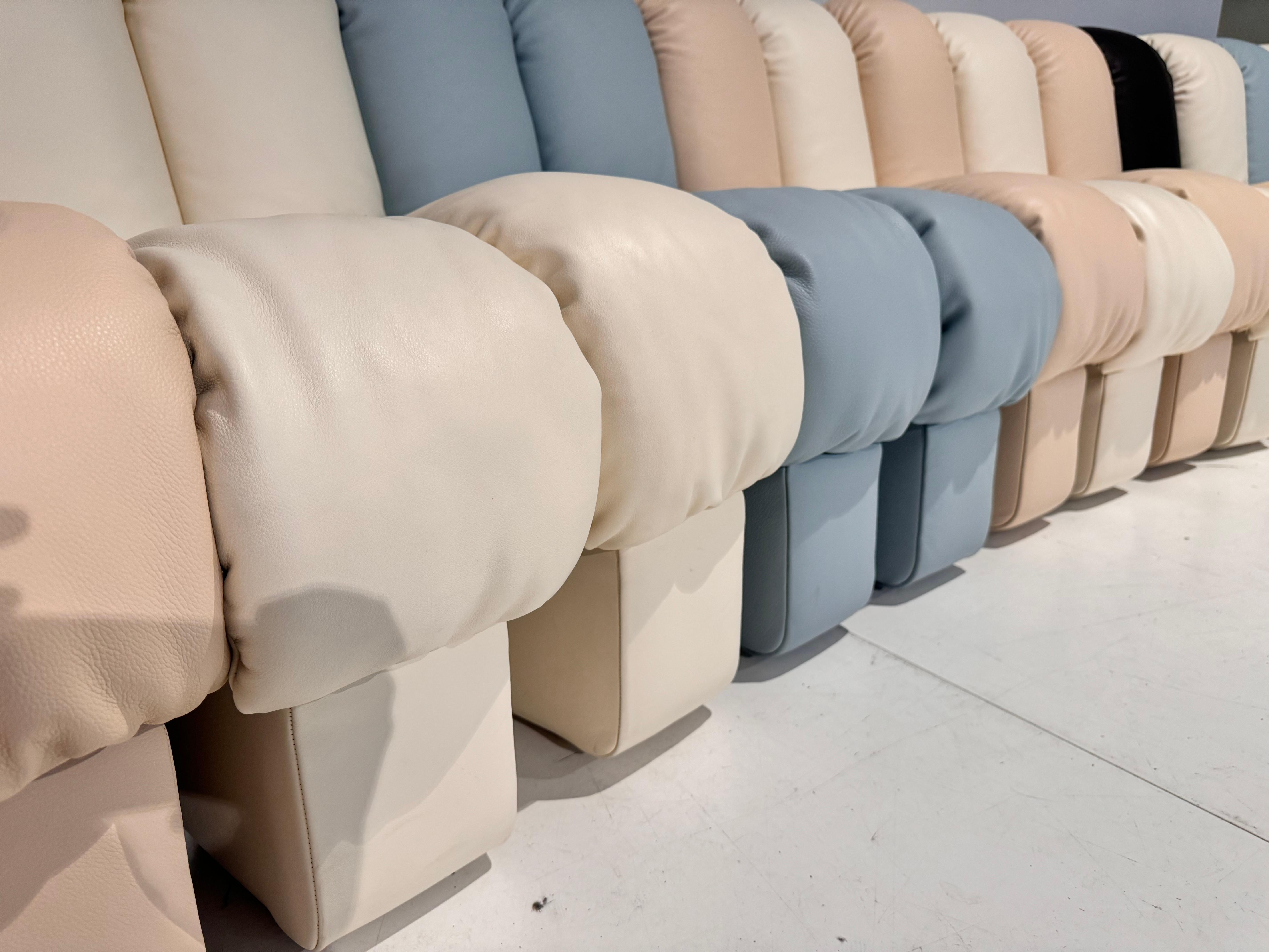 De Sede DS 600 Tatzelwurm Nonstop Snake Shaped Modular Sofa leather Ueli Berger For Sale 4