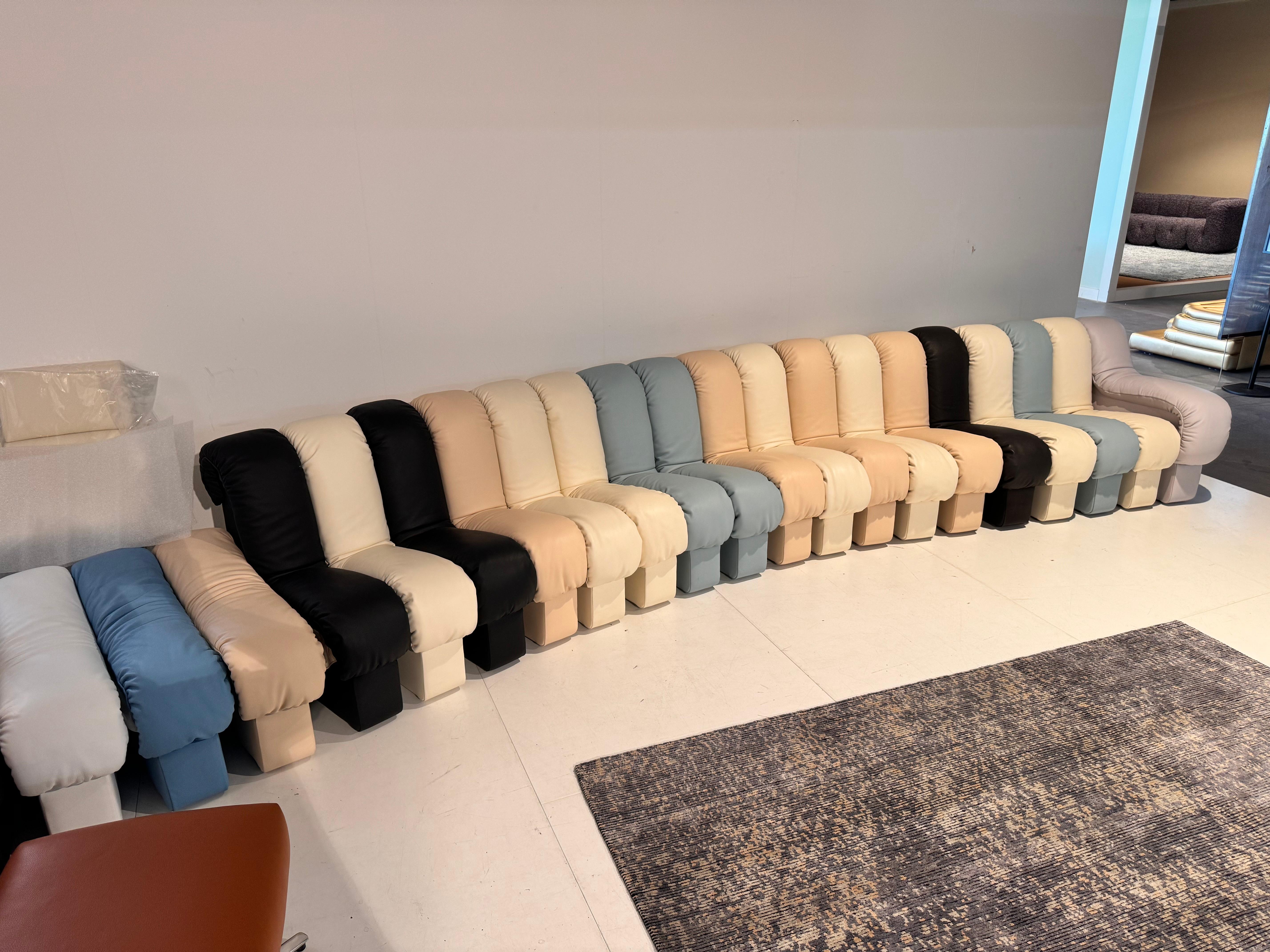 De Sede DS 600 Tatzelwurm Nonstop Snake Shaped Modular Sofa leather Ueli Berger In Excellent Condition For Sale In Alsdorf, NW
