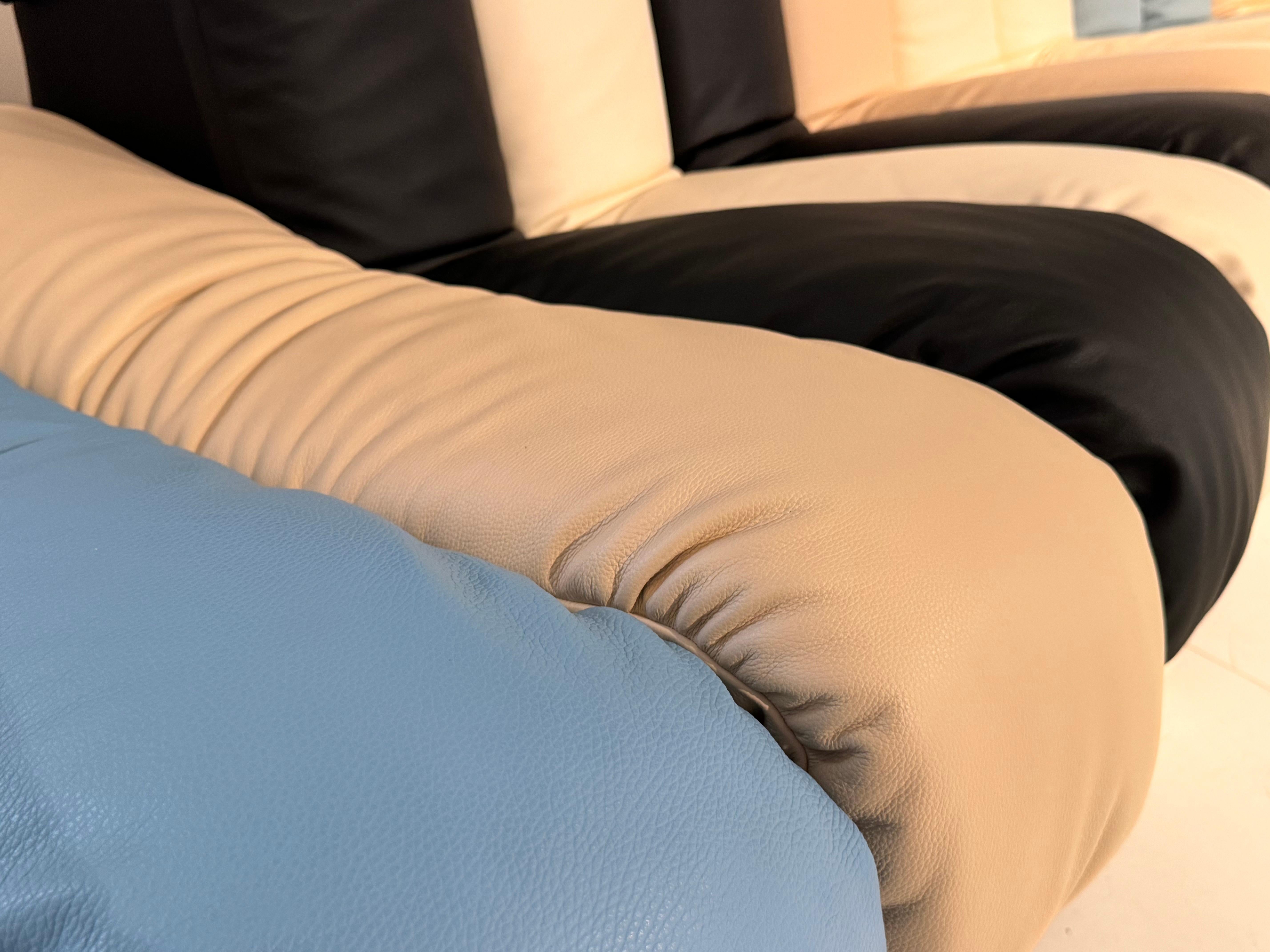 Leather De Sede DS 600 Tatzelwurm Nonstop Snake Shaped Modular Sofa leather Ueli Berger For Sale