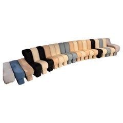 De Sede DS 600 Tatzelwurm Nonstop Snake Shaped Modular Sofa leather Ueli Berger