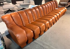 De Sede DS-600 Tatzelwurm Snake Modular Sofa teak braun Leder