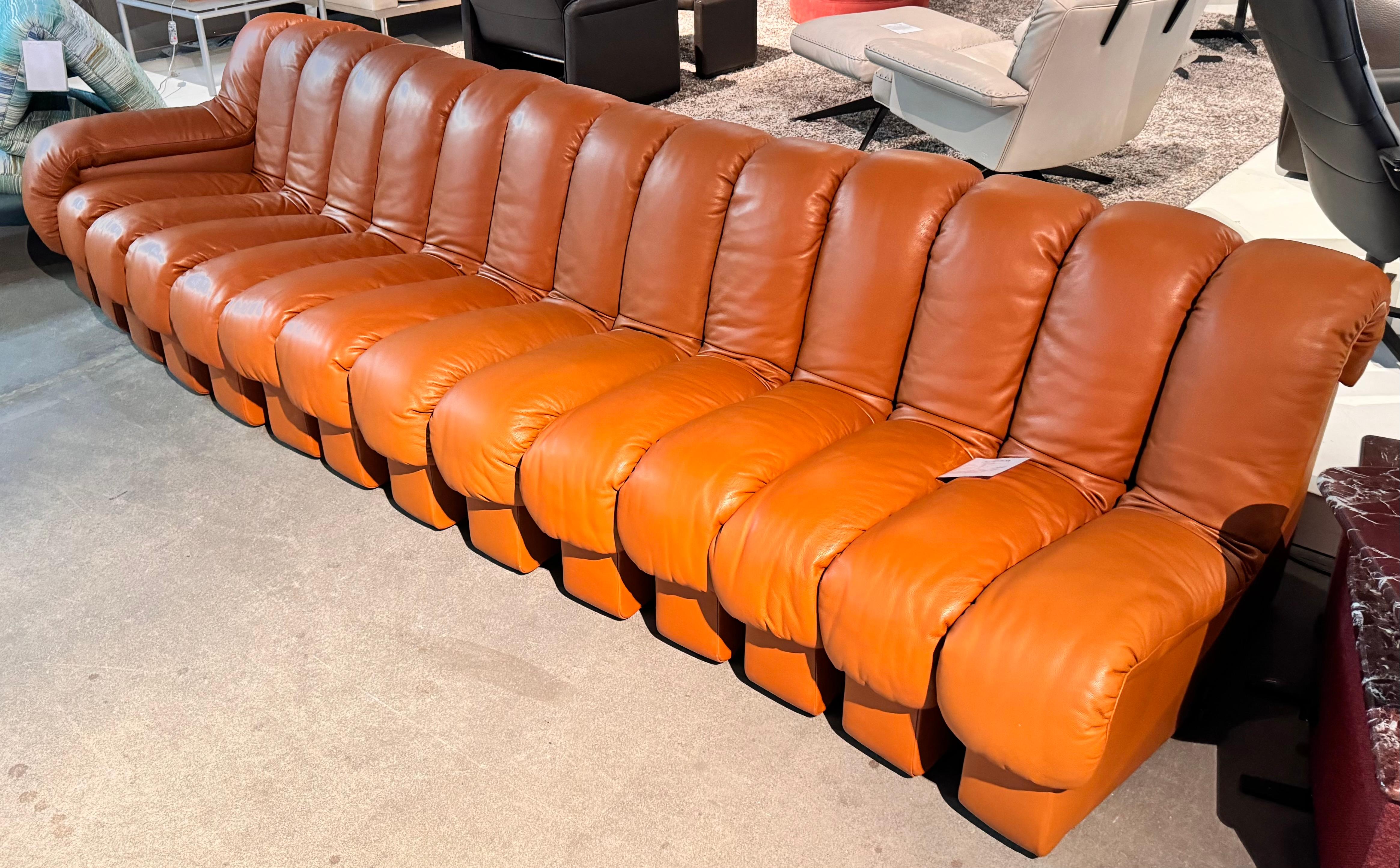 Svizzero De Sede DS-600 Tatzelwurm Snake Divano modulare in pelle marrone teak in vendita