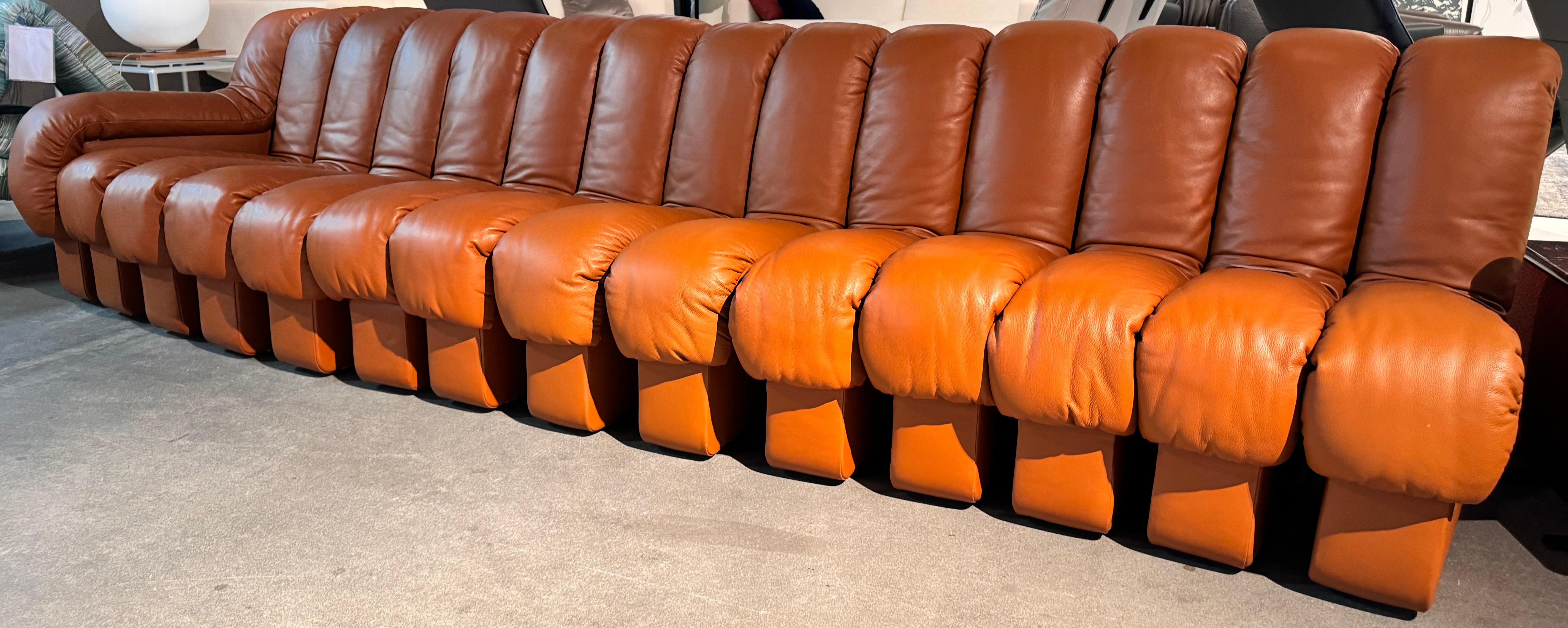 De Sede DS-600 Tatzelwurm Snake Divano modulare in pelle marrone teak In condizioni ottime in vendita a Alsdorf, NW