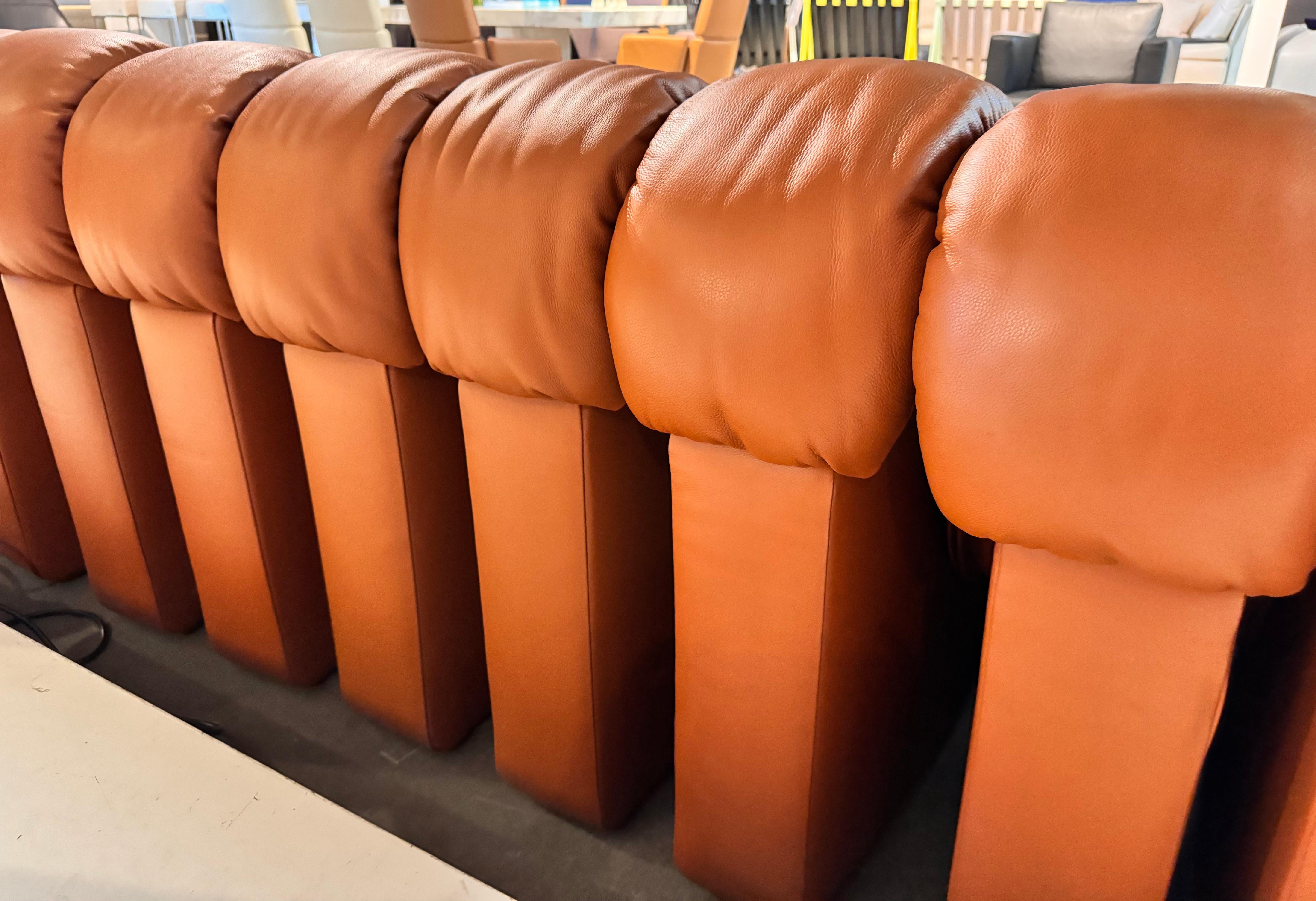 De Sede DS-600 Tatzelwurm Snake Divano modulare in pelle marrone teak in vendita 2