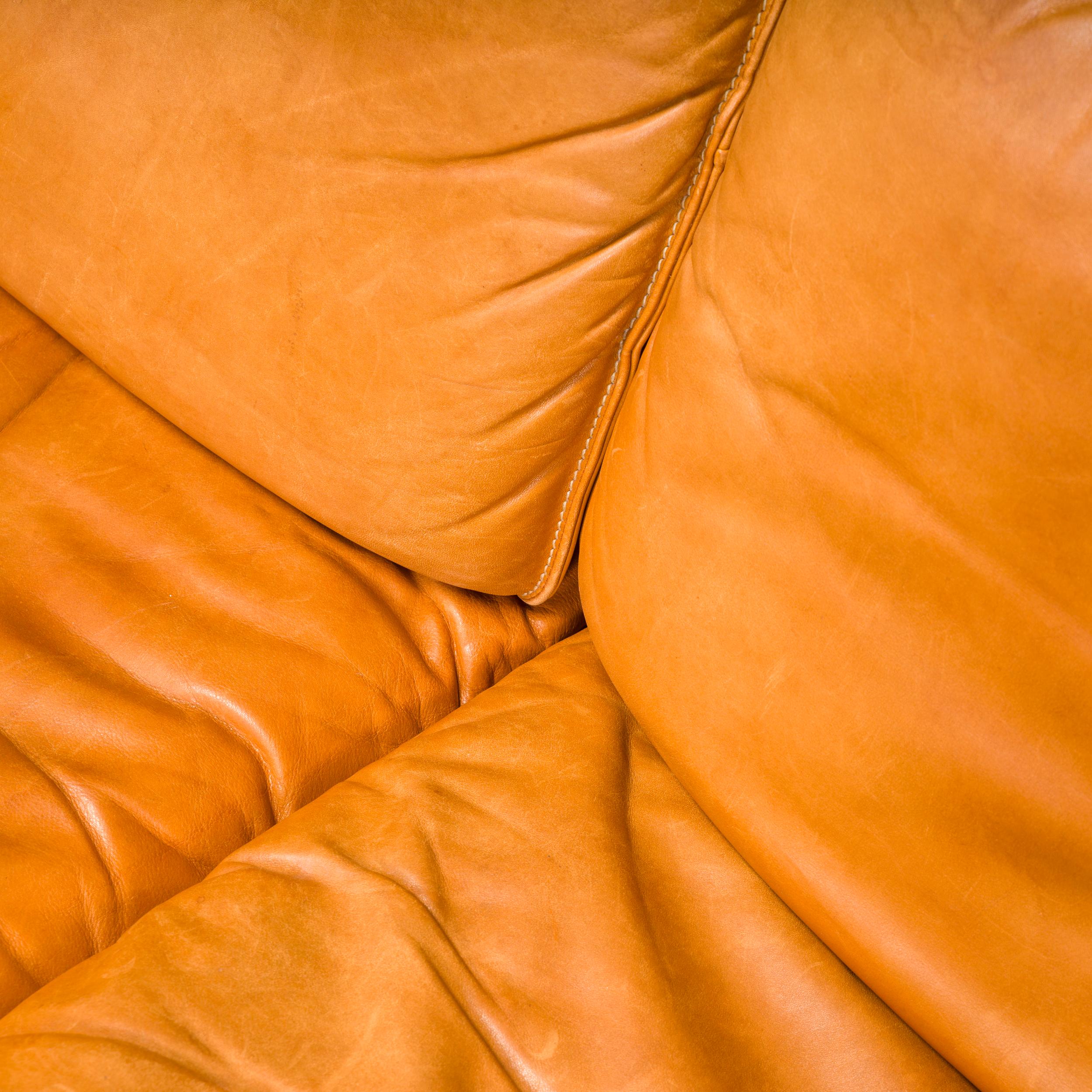 De Sede DS-61 Cedar Leather Sofa, 1972 2