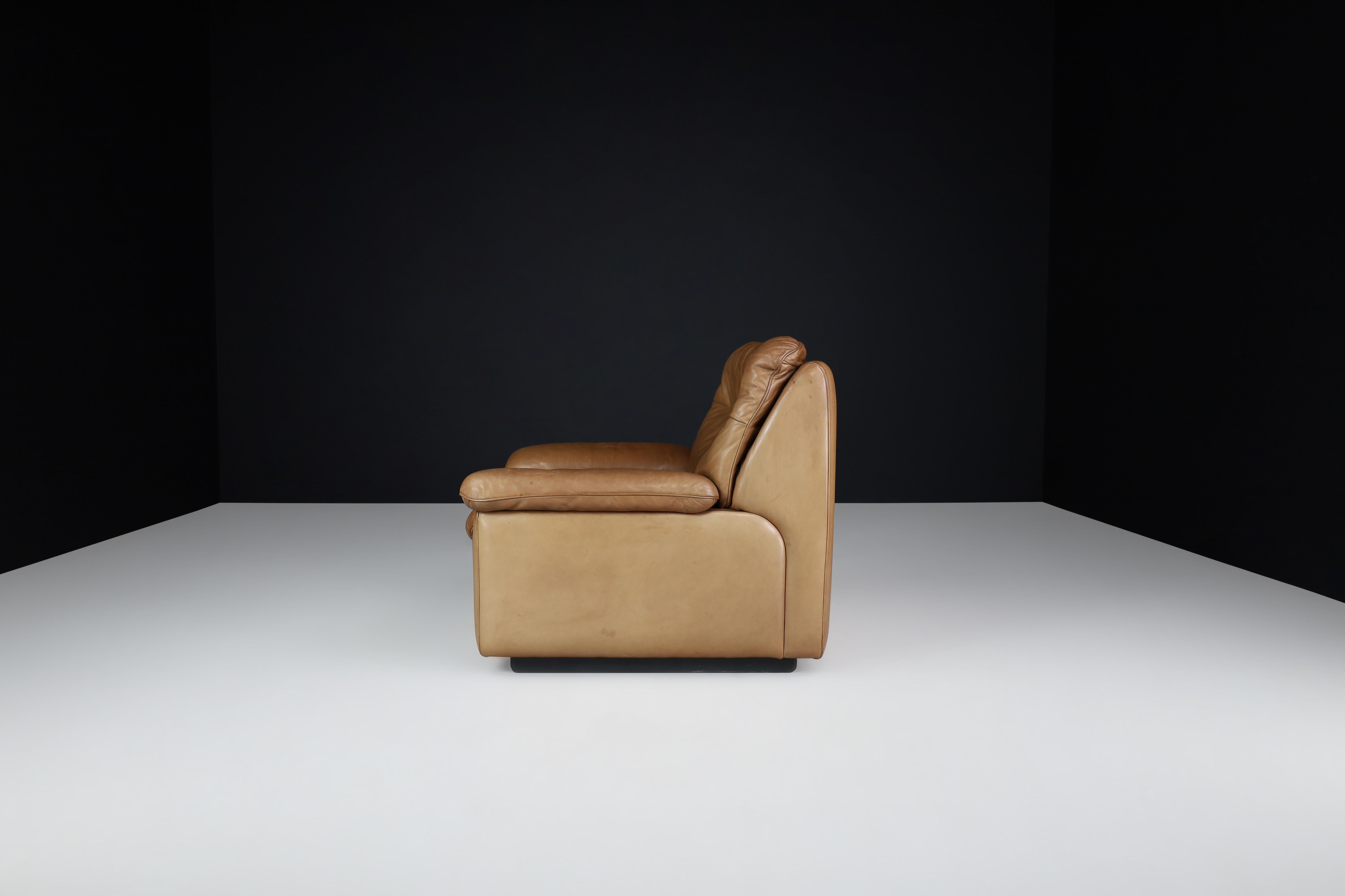 Swiss De Sede Ds 63 Lounge Chair in Patinated Leather, Switzerland, 1970s For Sale