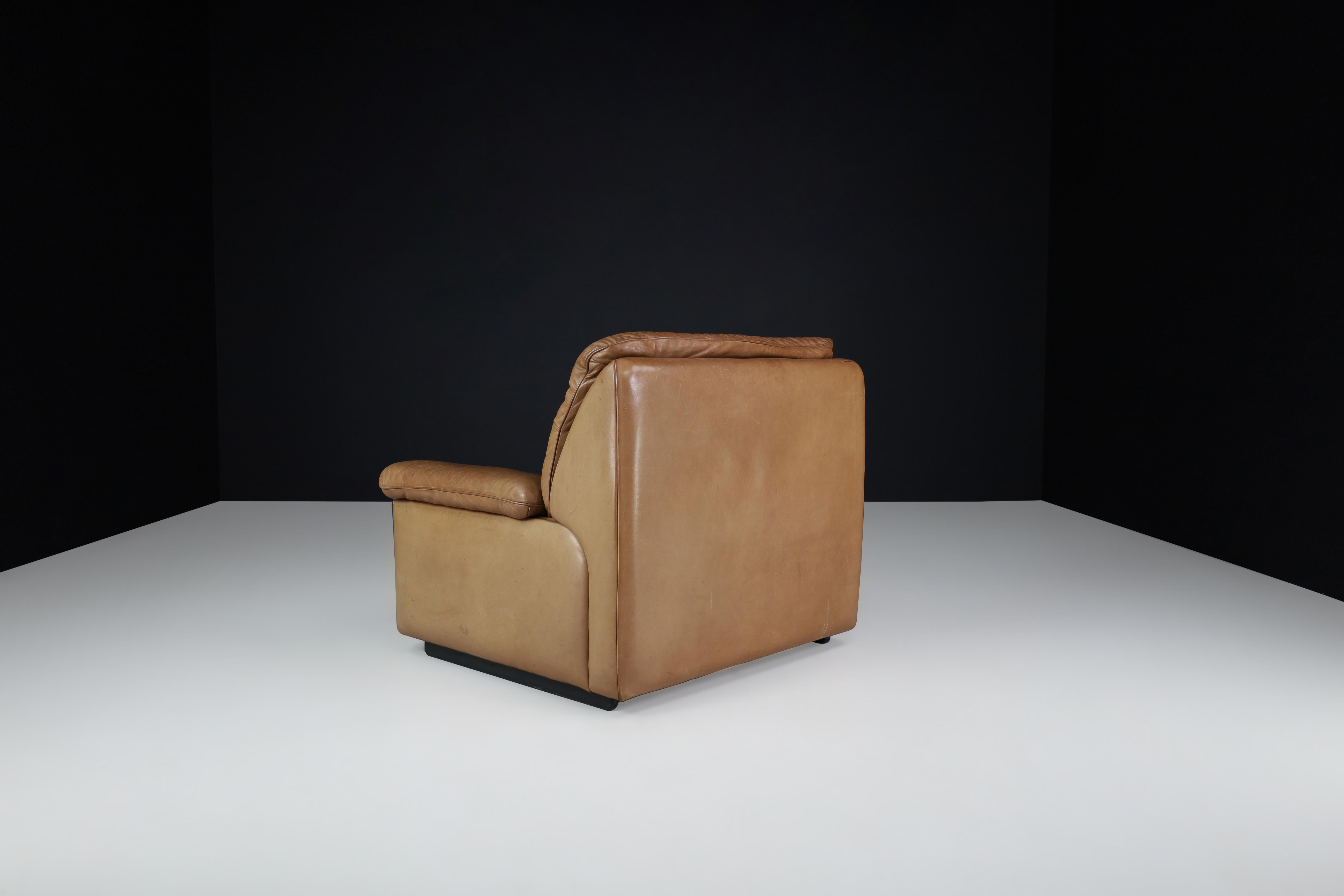 20th Century De Sede Ds 63 Lounge Chair in Patinated Leather, Switzerland, 1970s For Sale