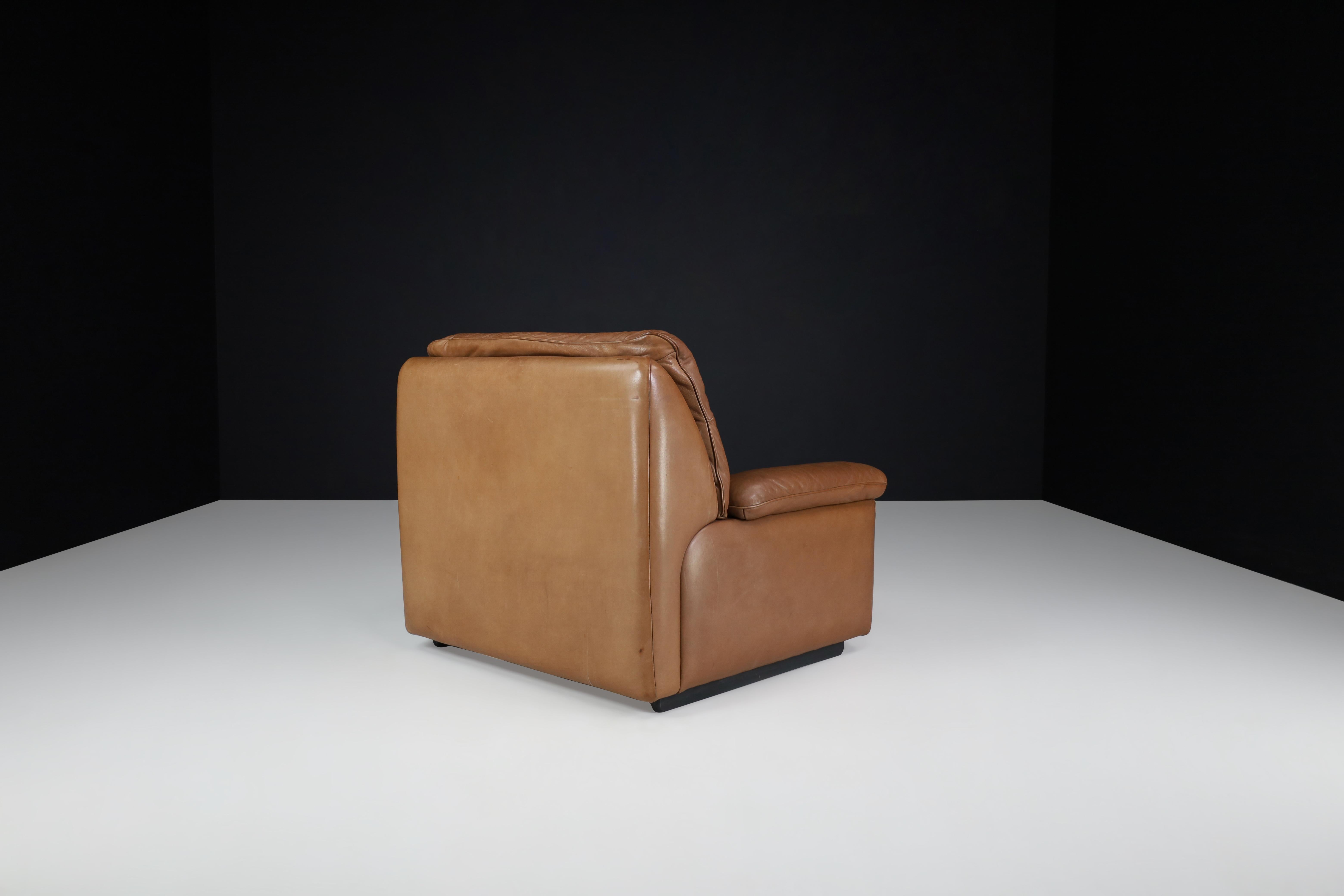 De Sede Ds 63 Lounge Chair in Patinated Leather, Switzerland, 1970s For Sale 1