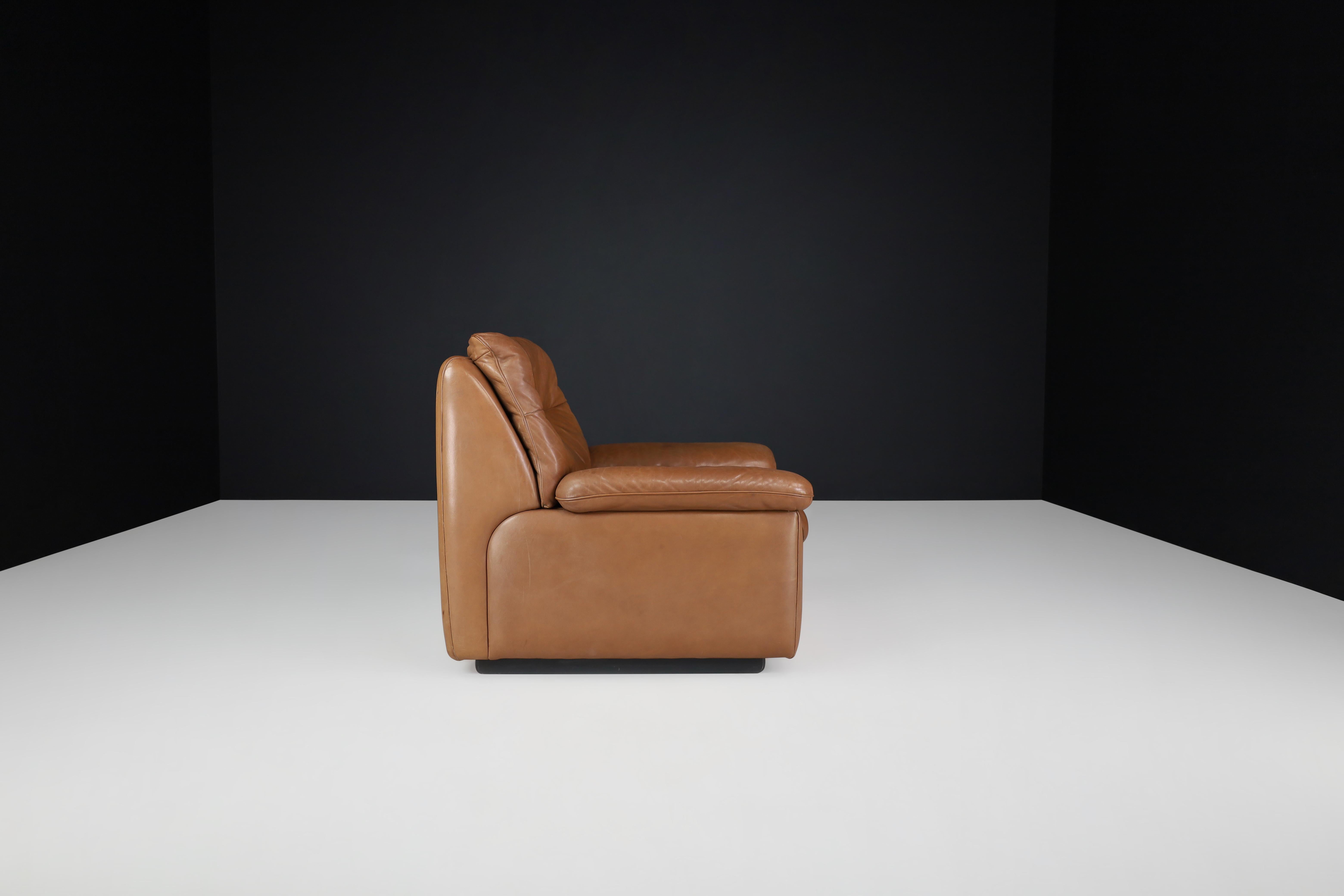 De Sede Ds 63 Lounge Chair in Patinated Leather, Switzerland, 1970s For Sale 2