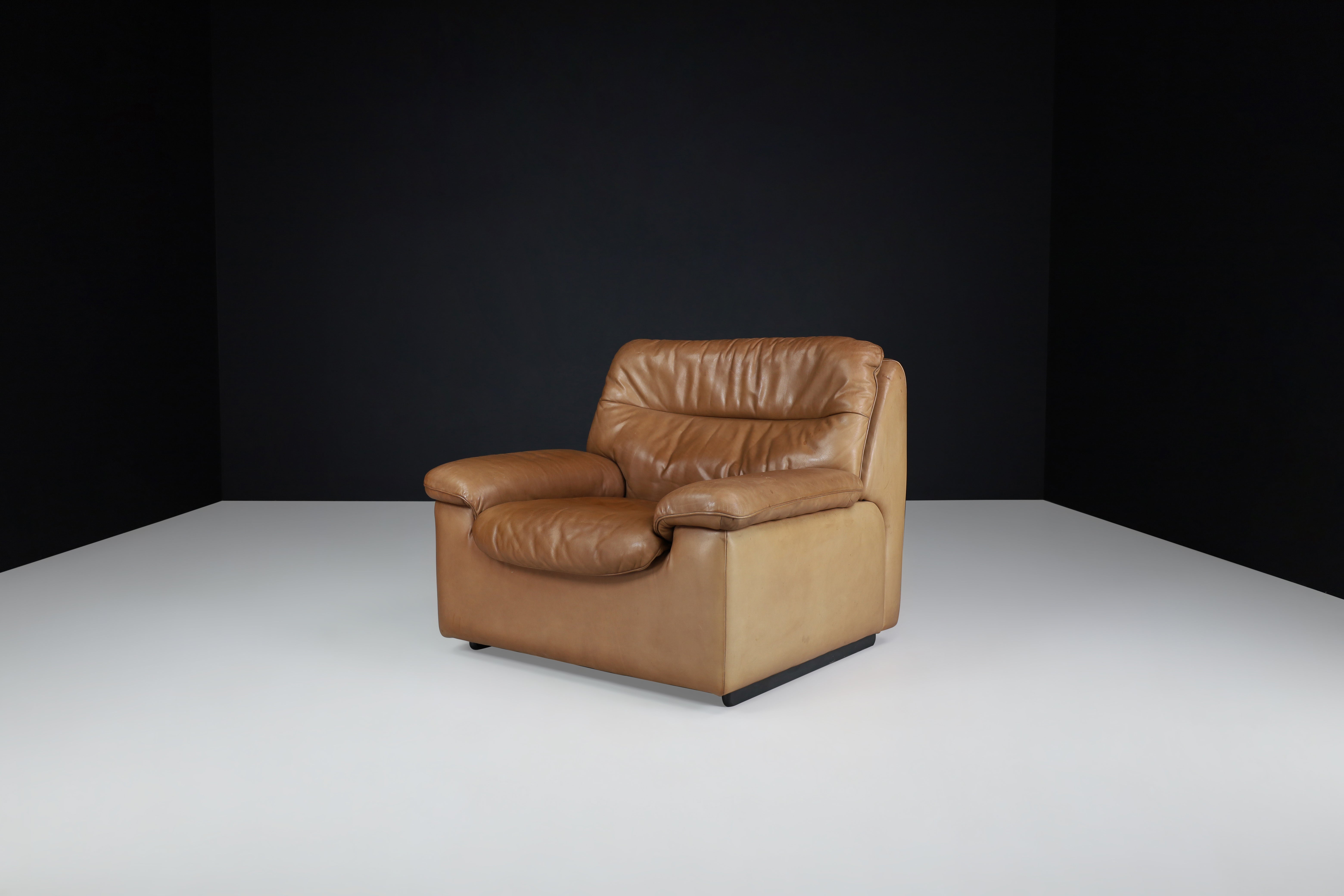 De Sede Ds 63 Lounge Chair in Patinated Leather, Switzerland, 1970s For Sale