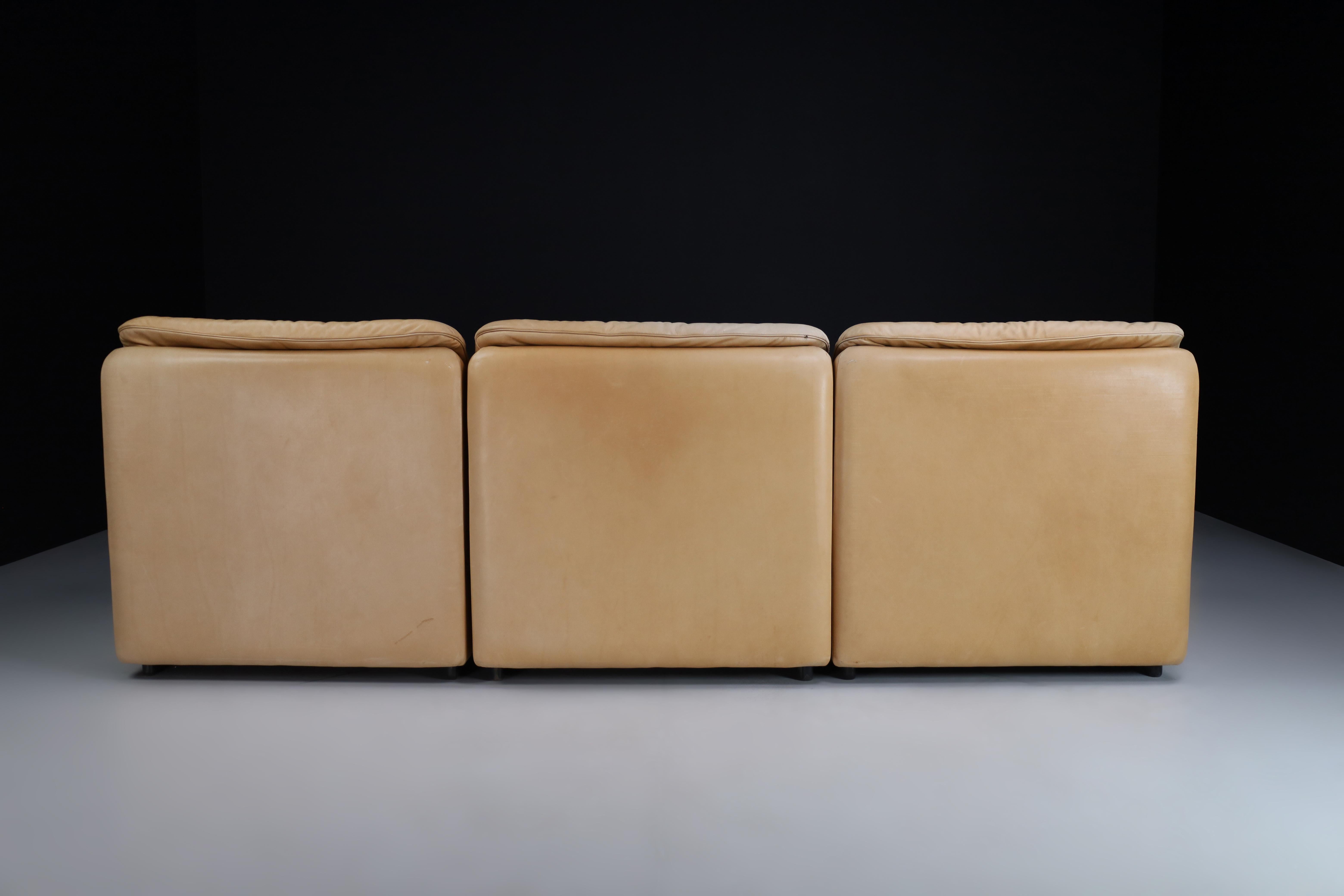 De Sede DS 63 Three-seater Sofa in Leather, Switzerland 1970s For Sale 1