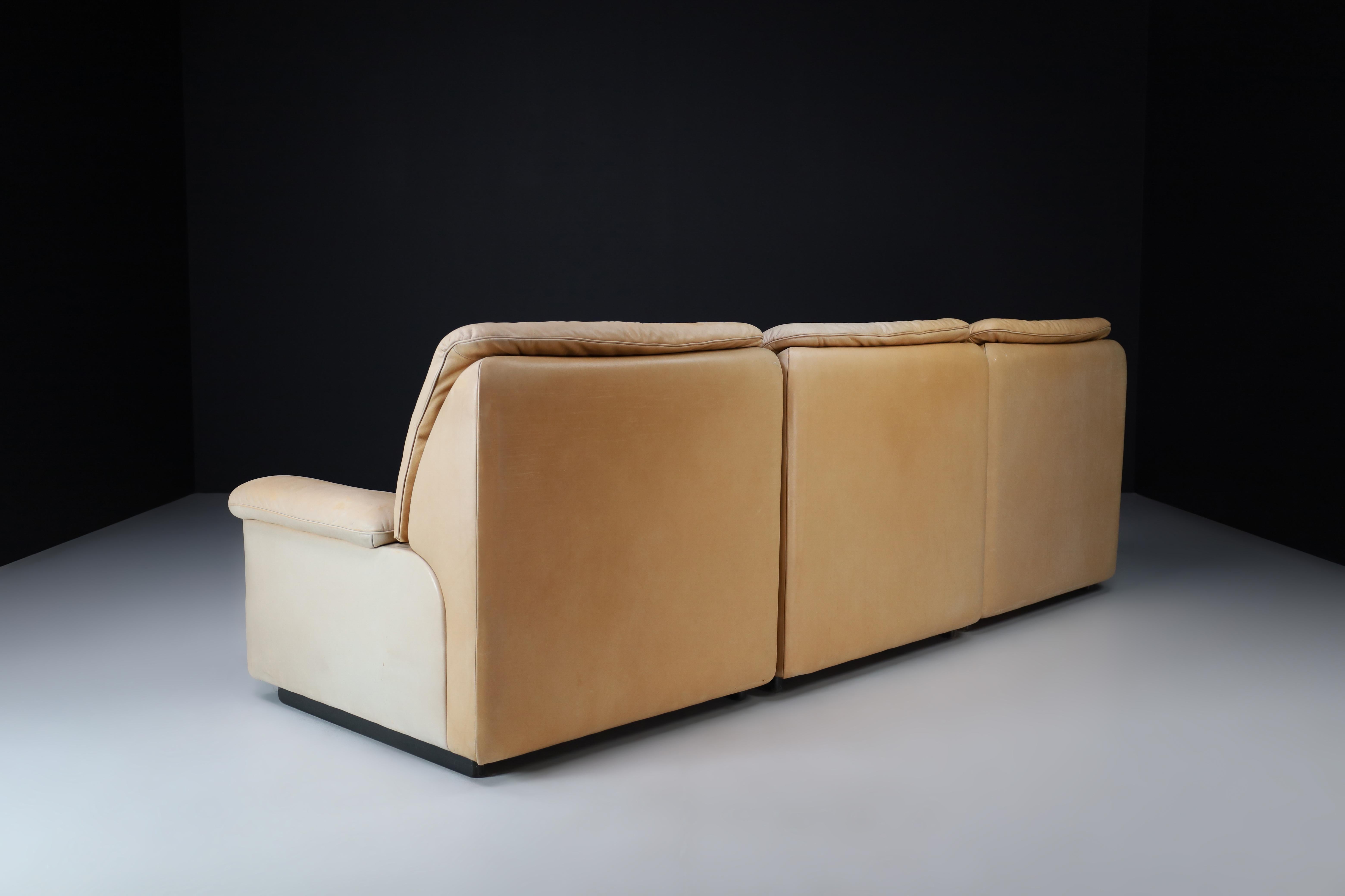 De Sede DS 63 Three-seater Sofa in Leather, Switzerland 1970s For Sale 2