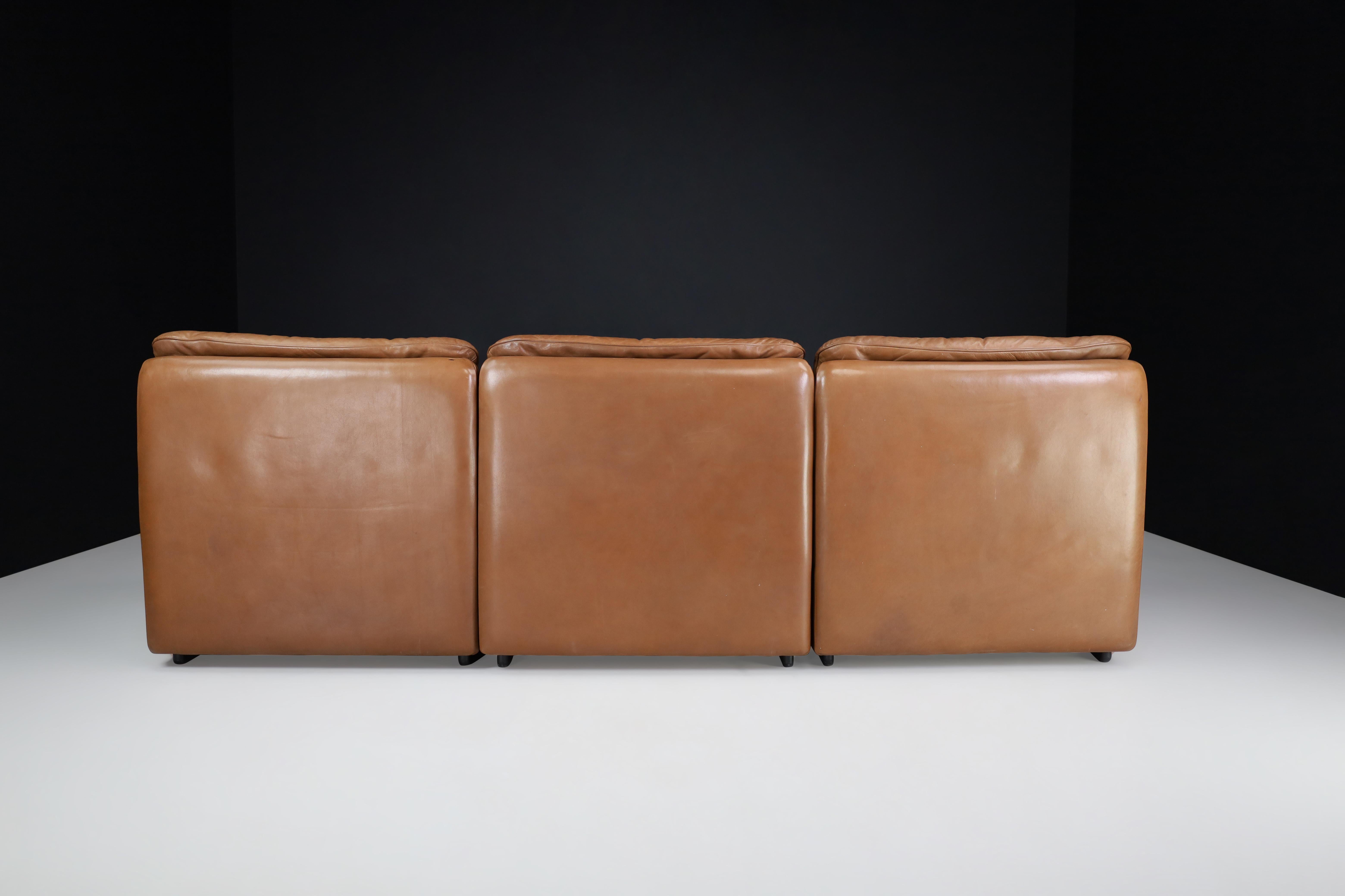 De Sede Ds 63 Three-Seater Sofa in Patinated Leather, Switzerland, 1970s For Sale 2