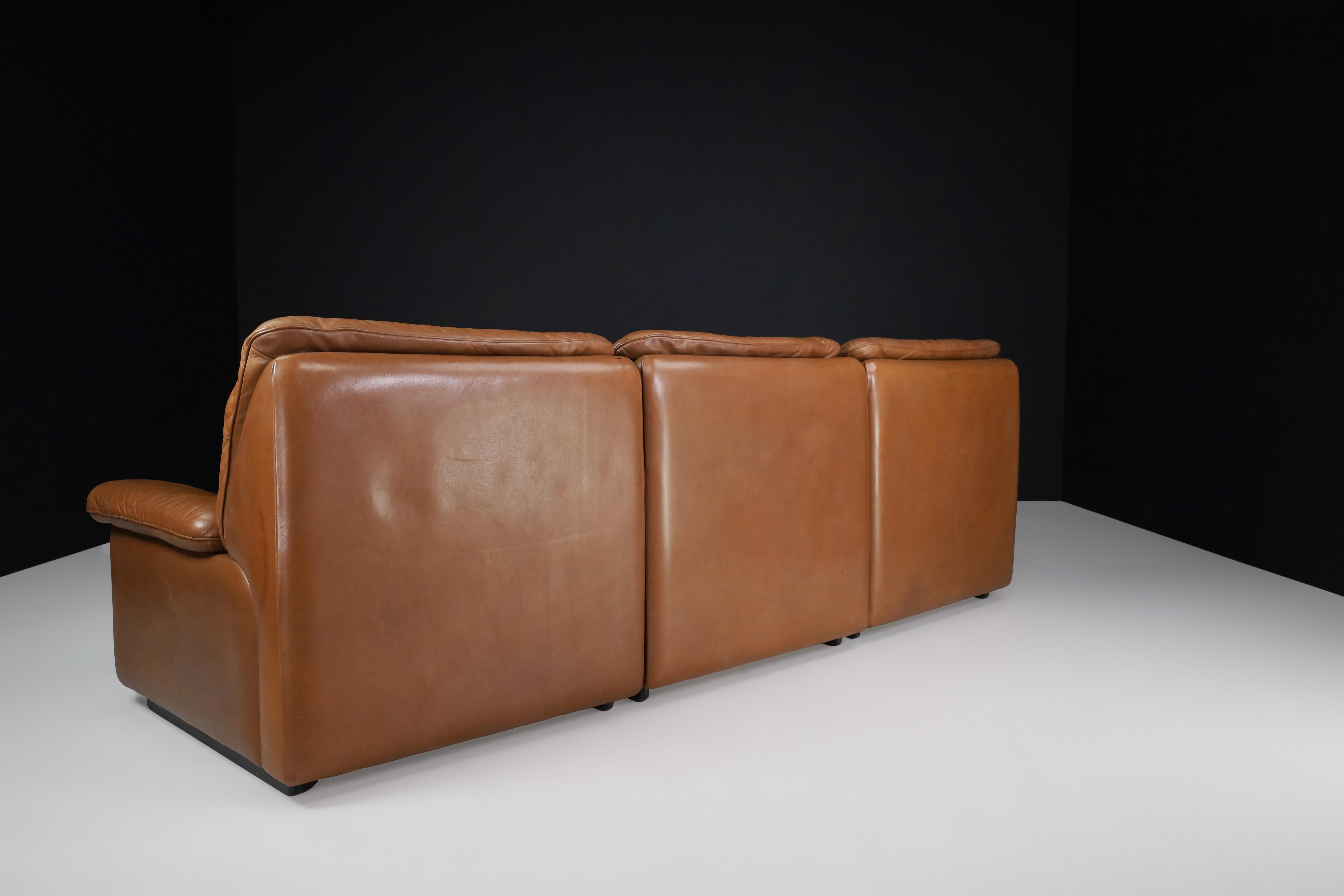 Swiss De Sede Ds 63 Three-Seater Sofa in Patinated Leather, Switzerland, 1970s For Sale