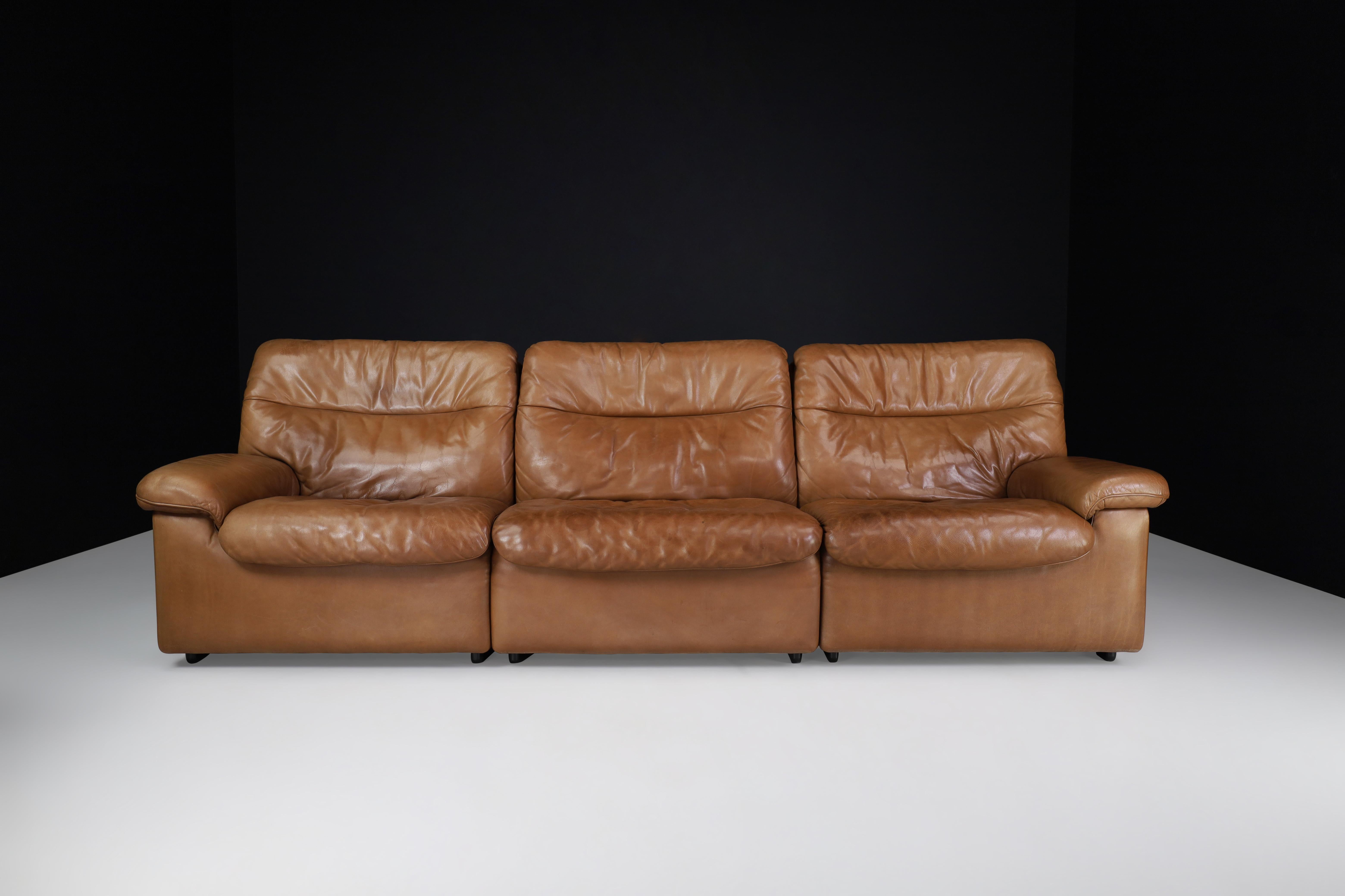 20th Century De Sede Ds 63 Three-Seater Sofa in Patinated Leather, Switzerland, 1970s For Sale