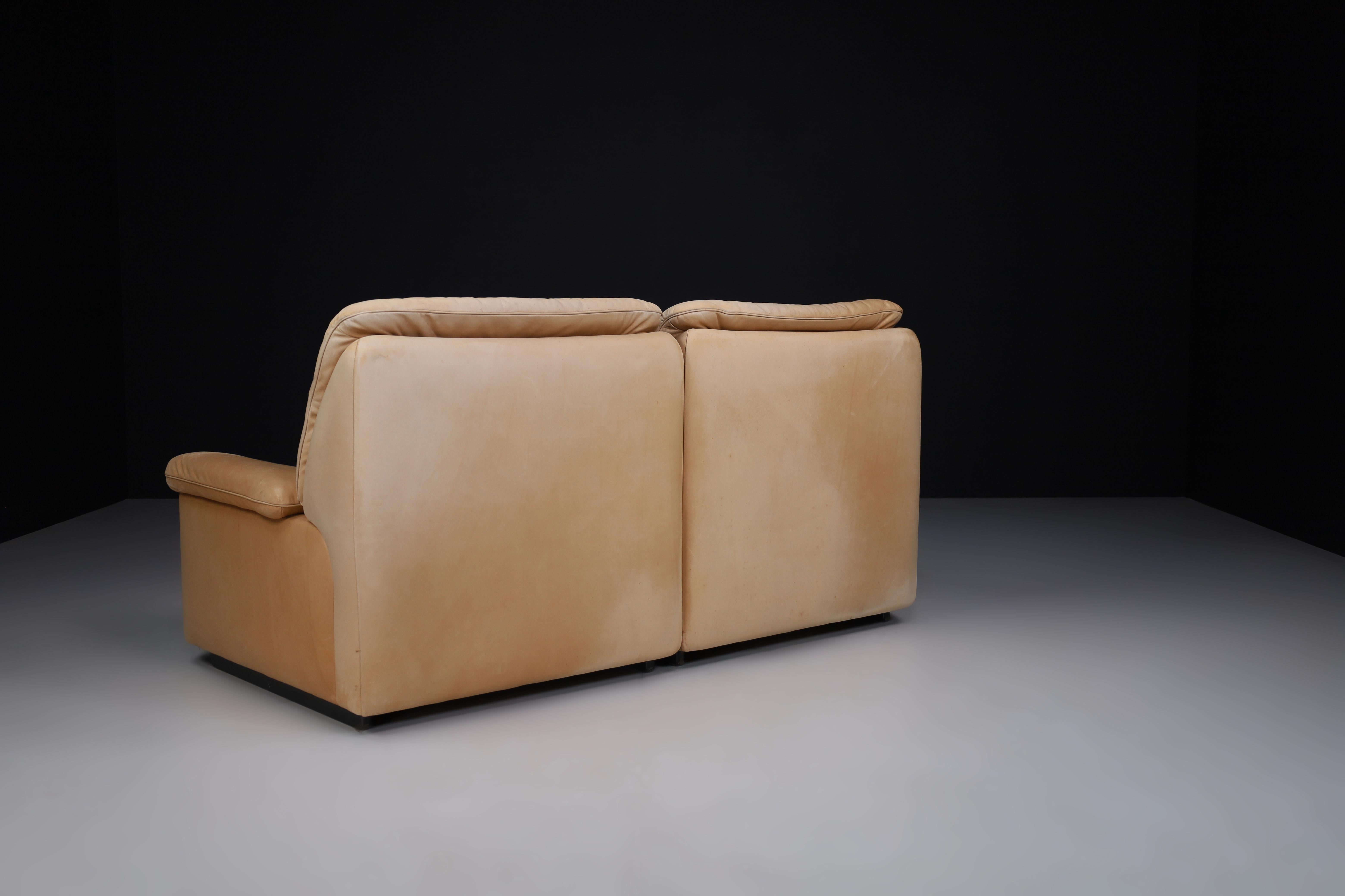 Swiss De Sede DS 63 Two-Seater Sofa in Leather, Switzerland, 1970s For Sale