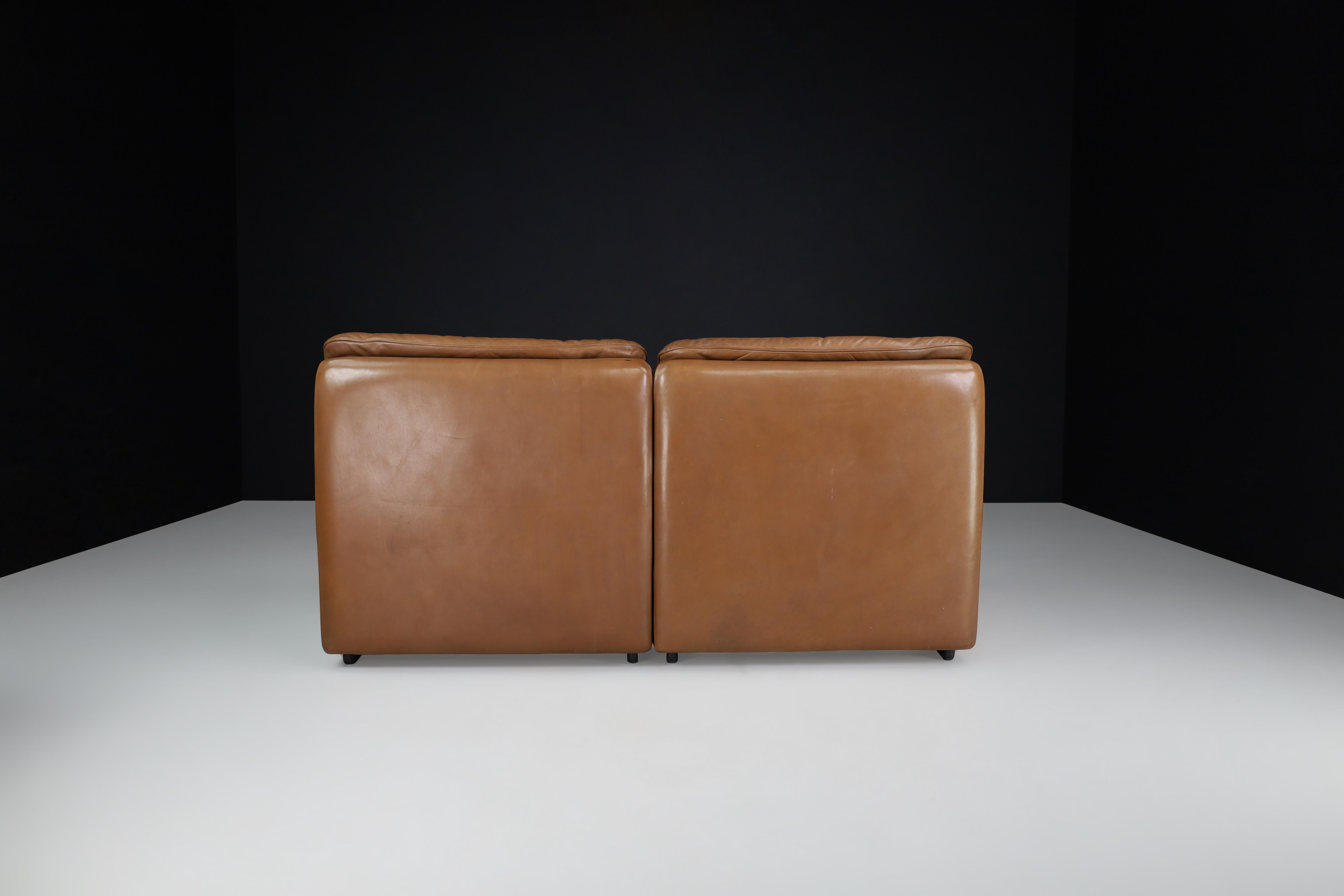 20th Century De Sede DS 63 Two-Seater Sofa in Patinated Leather, Switzerland, 1970s For Sale