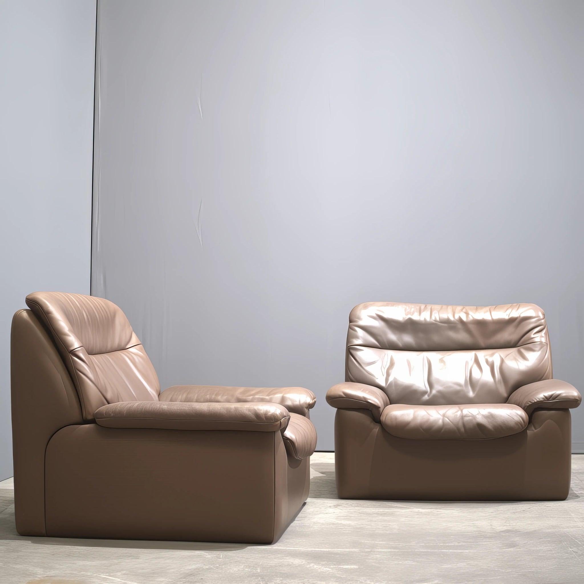 Cuir De Sede DS-66  Canapé en cuir Brown en vente
