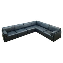 Divani in Wood